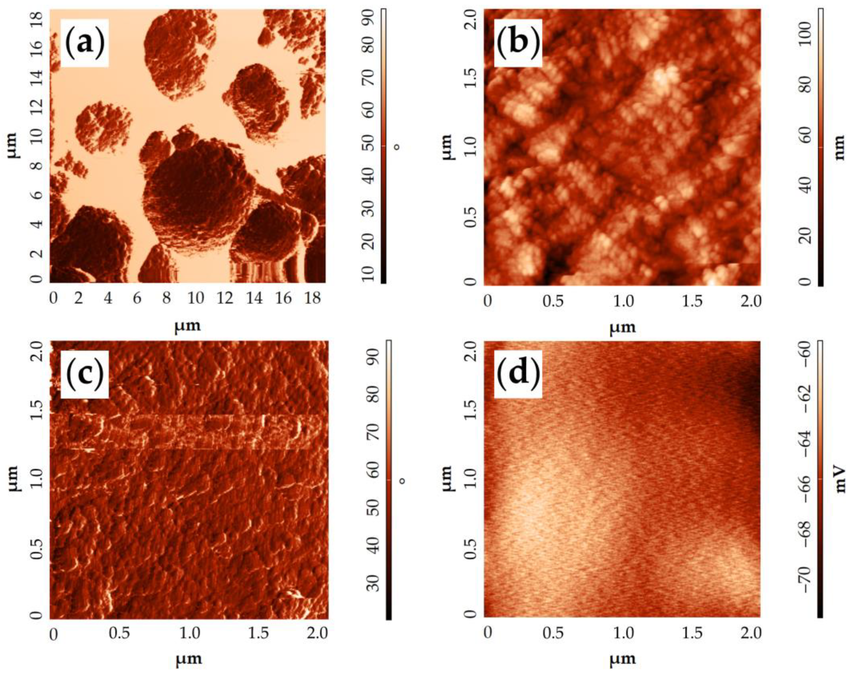 Materials 16 04202 g010