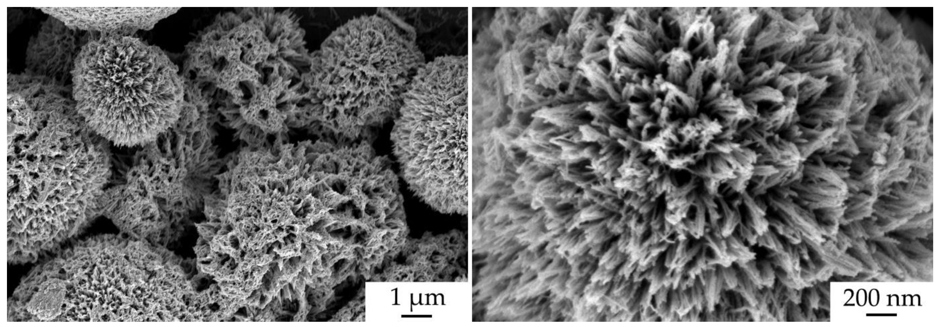 Materials 16 04202 g012