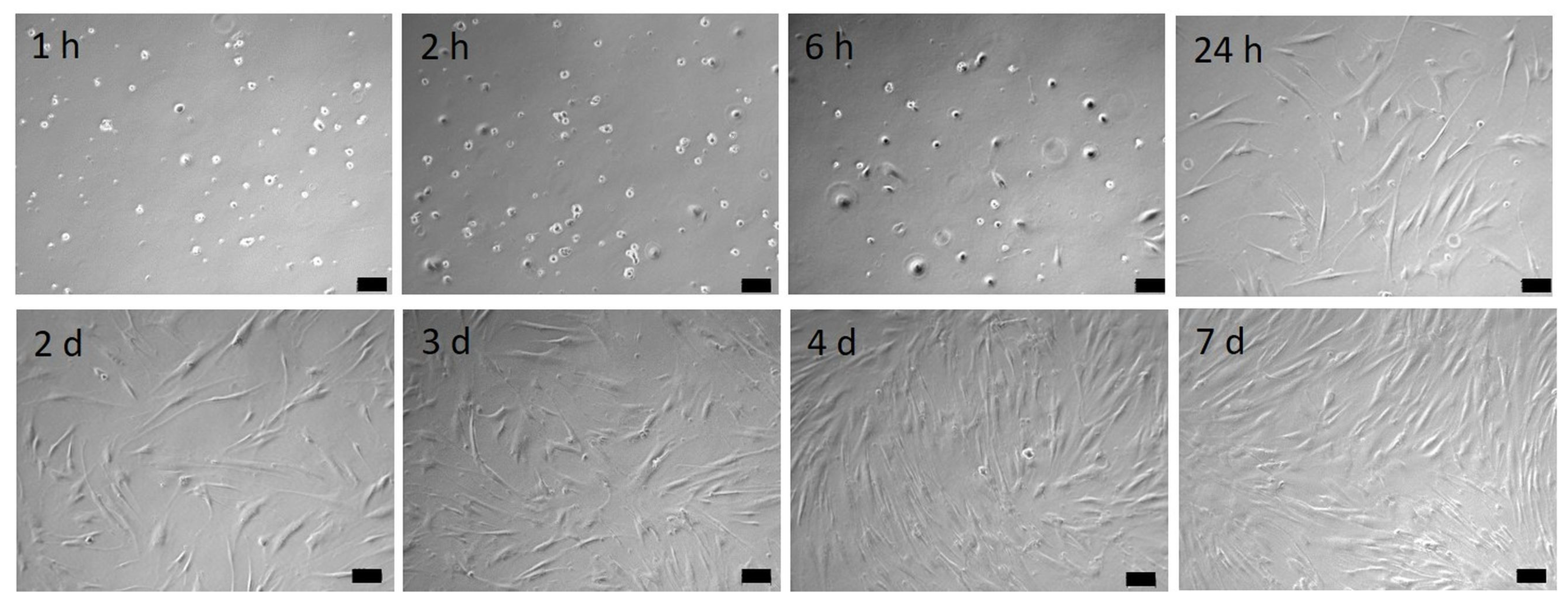 Materials 16 04203 g004 Materials 16 04203 g004