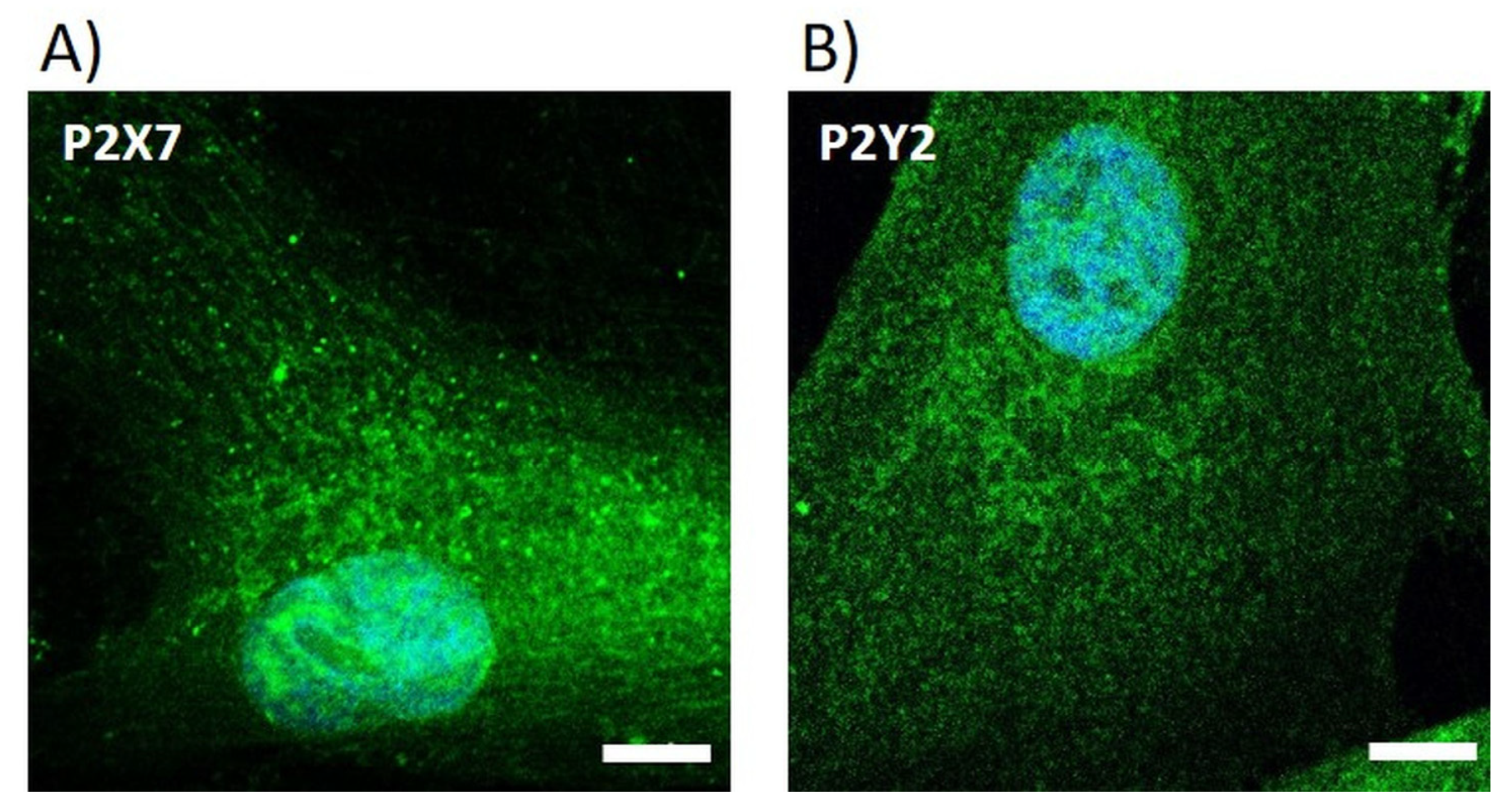 Materials 16 04203 g006 Materials 16 04203 g006