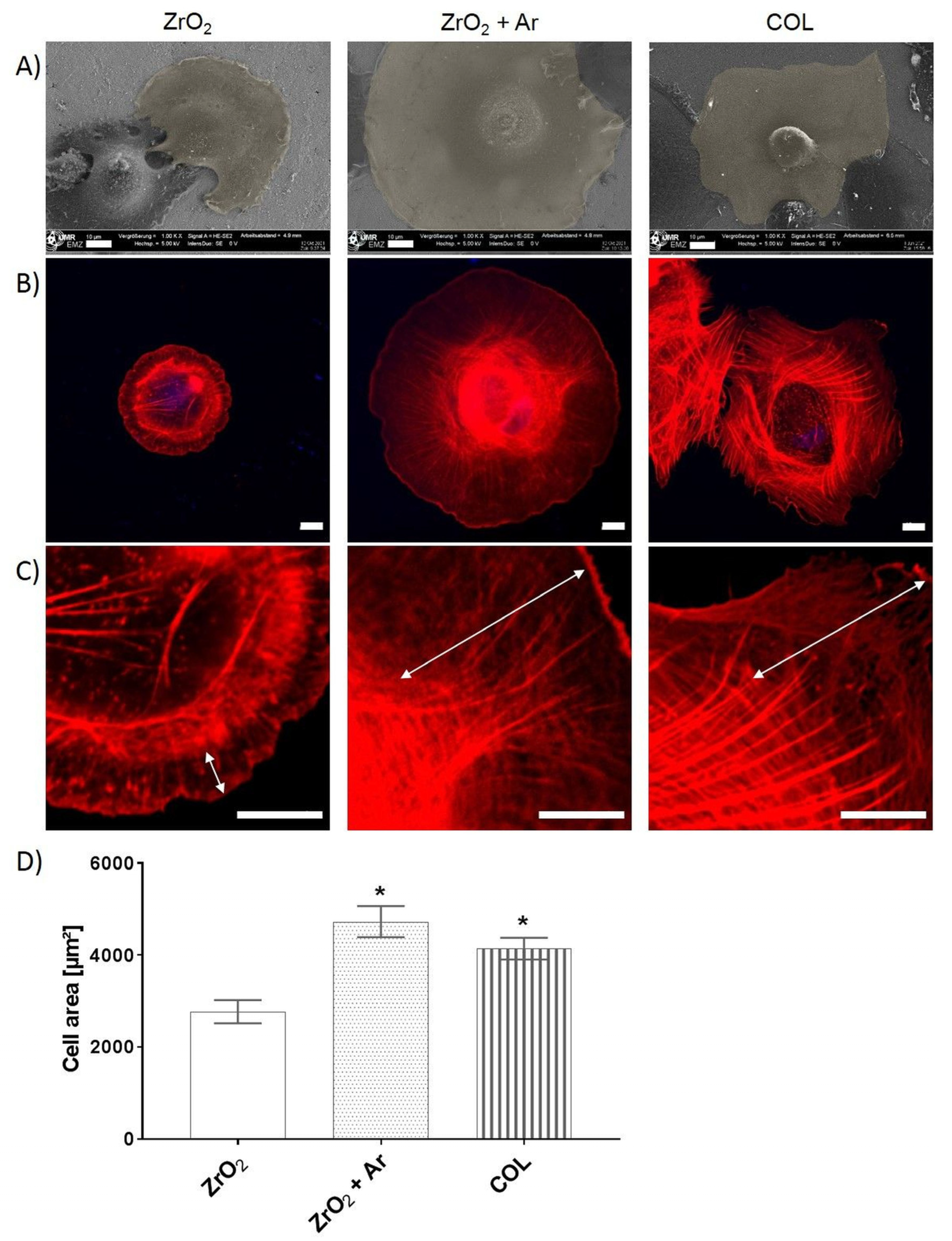 Materials 16 04203 g007 Materials 16 04203 g007