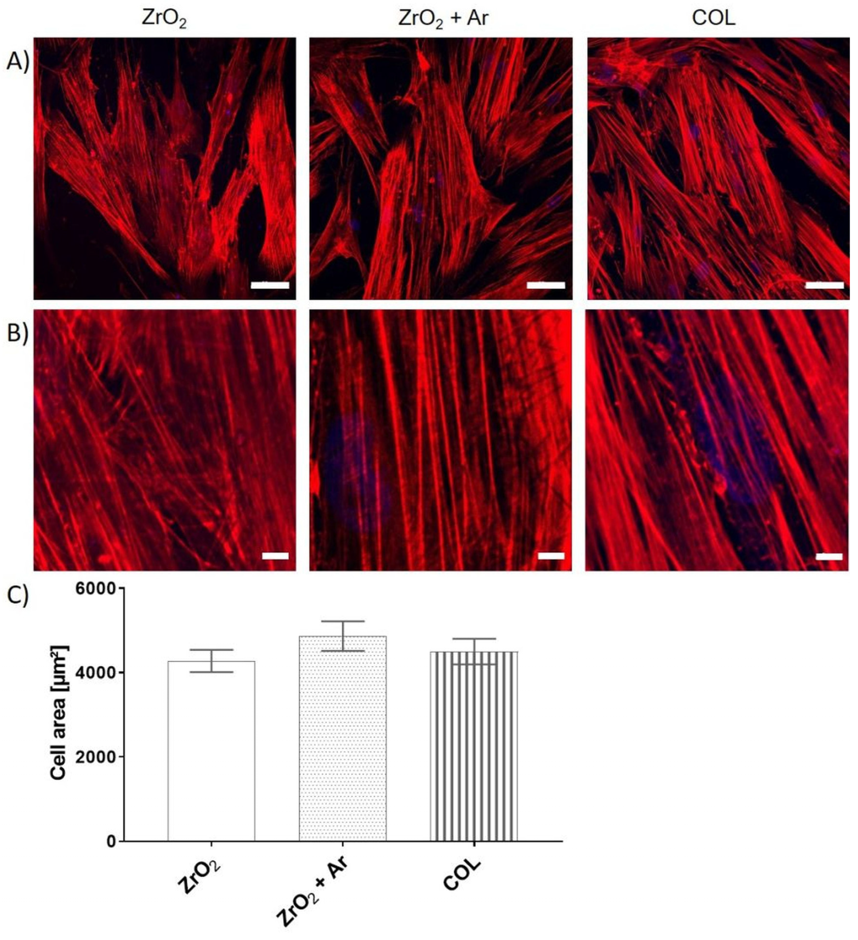 Materials 16 04203 g008 Materials 16 04203 g008