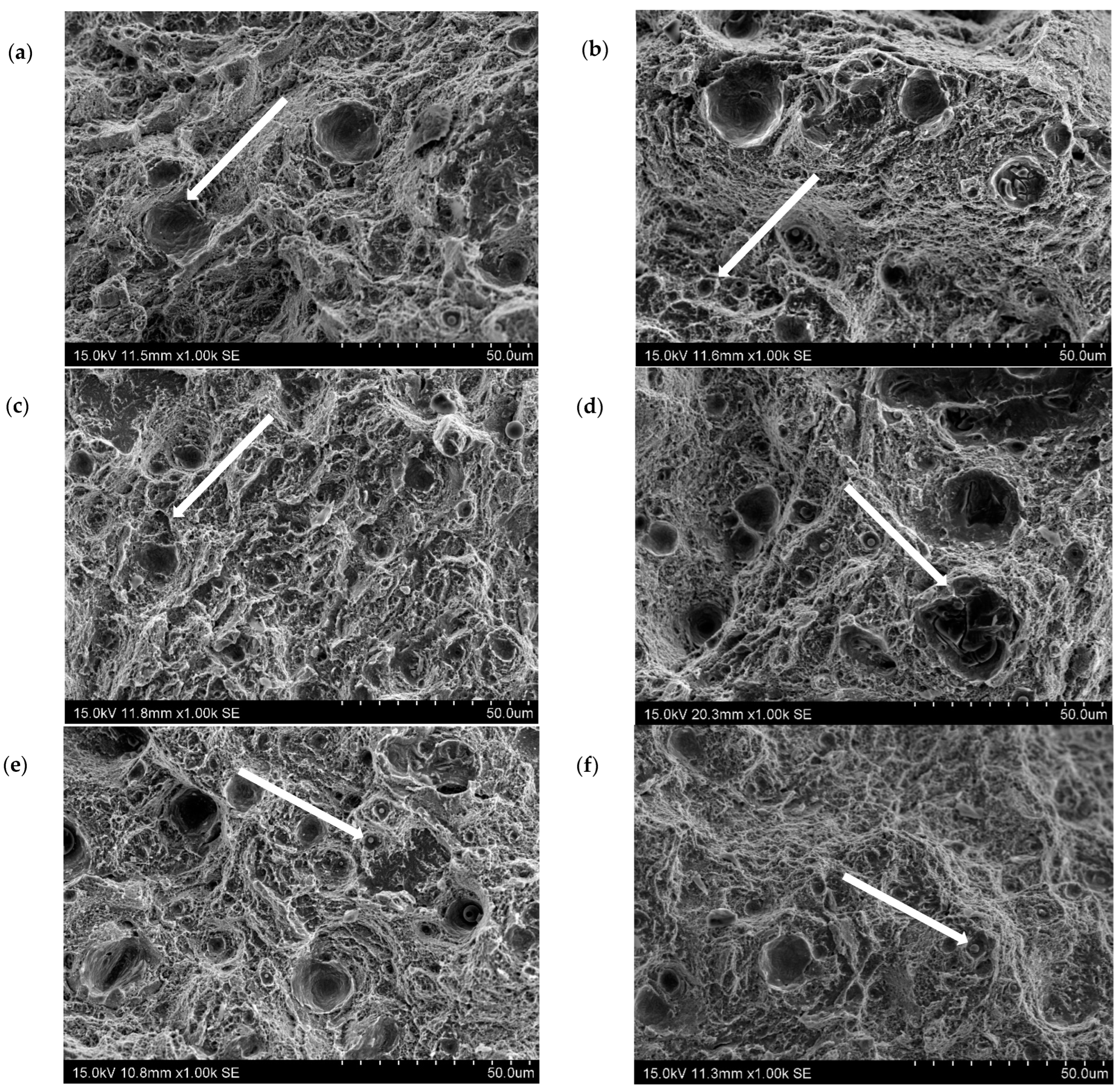 Materials 16 04205 g008