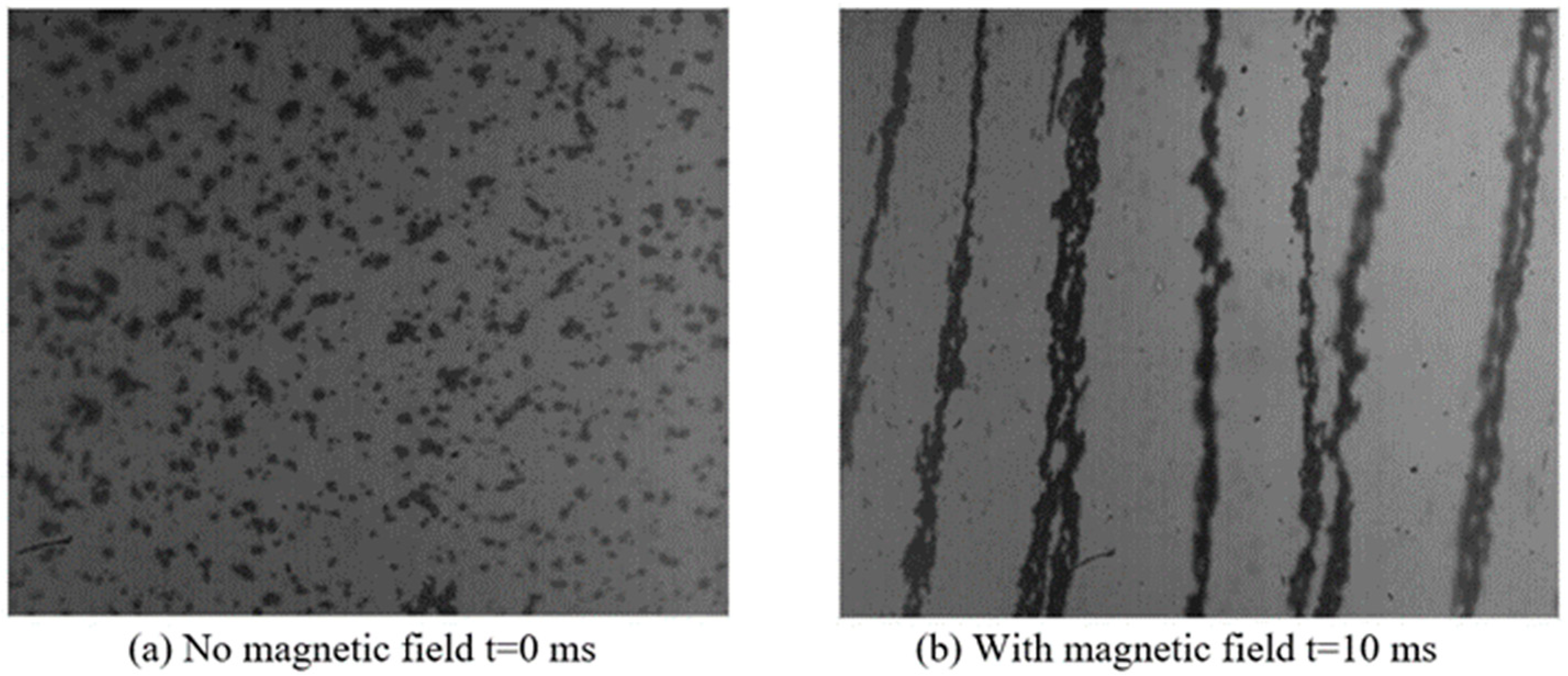 Materials 16 04207 g016