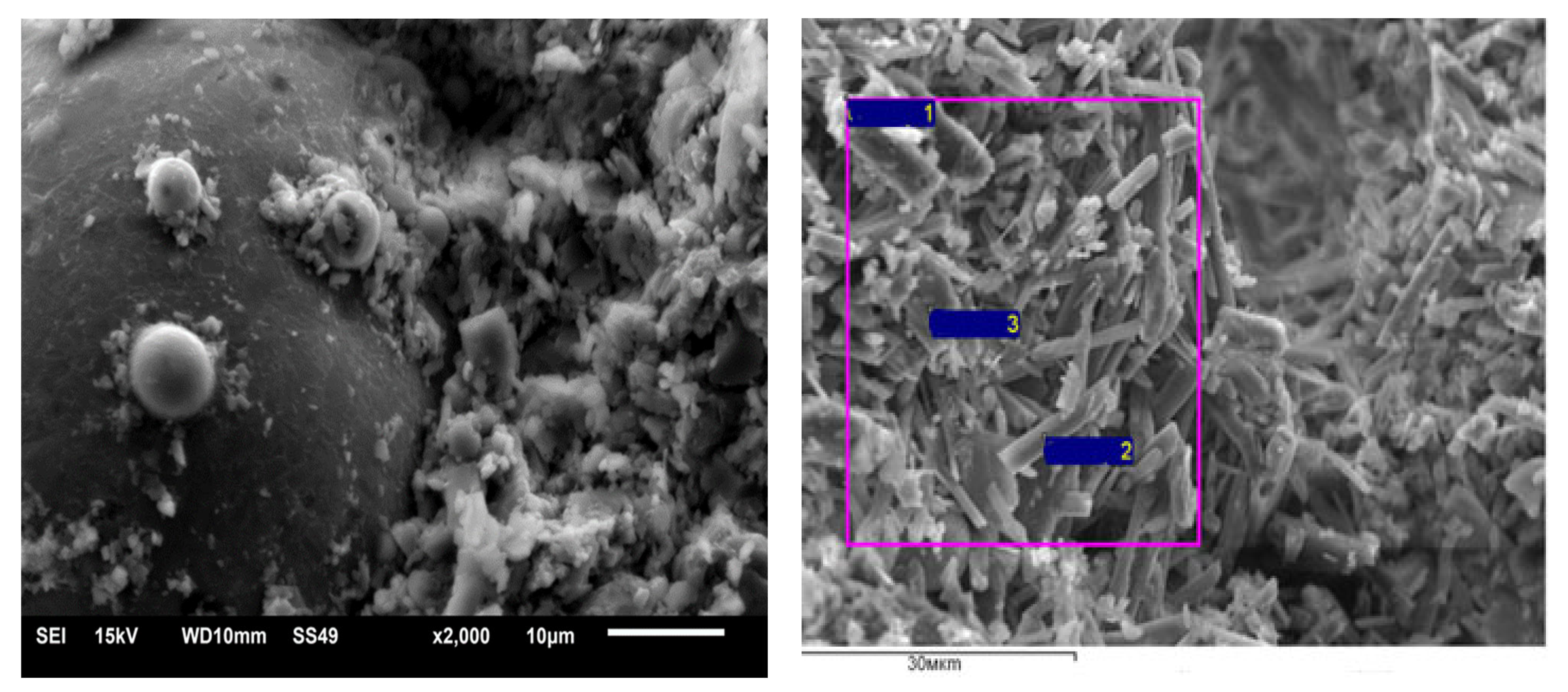 Materials 16 04213 g010 Materials 16 04213 g010