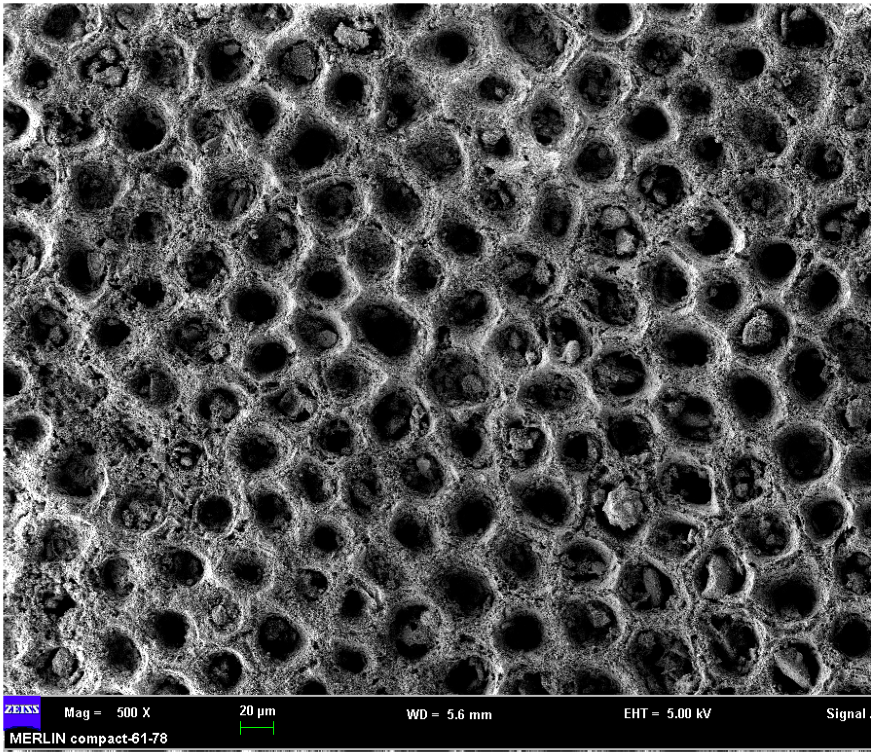 Materials 16 04217 g004