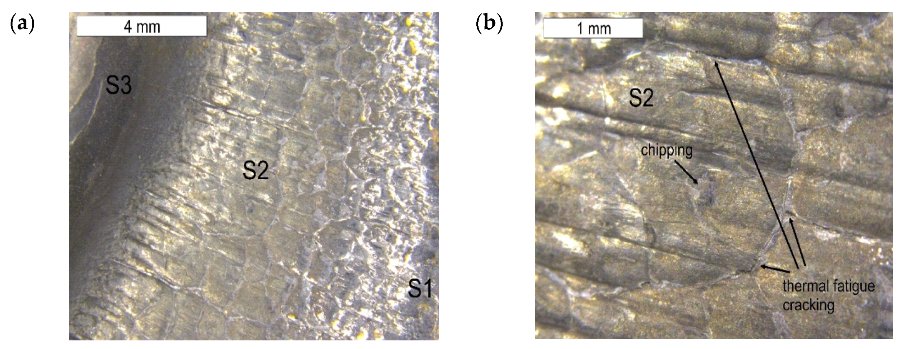 Materials 16 04223 g008