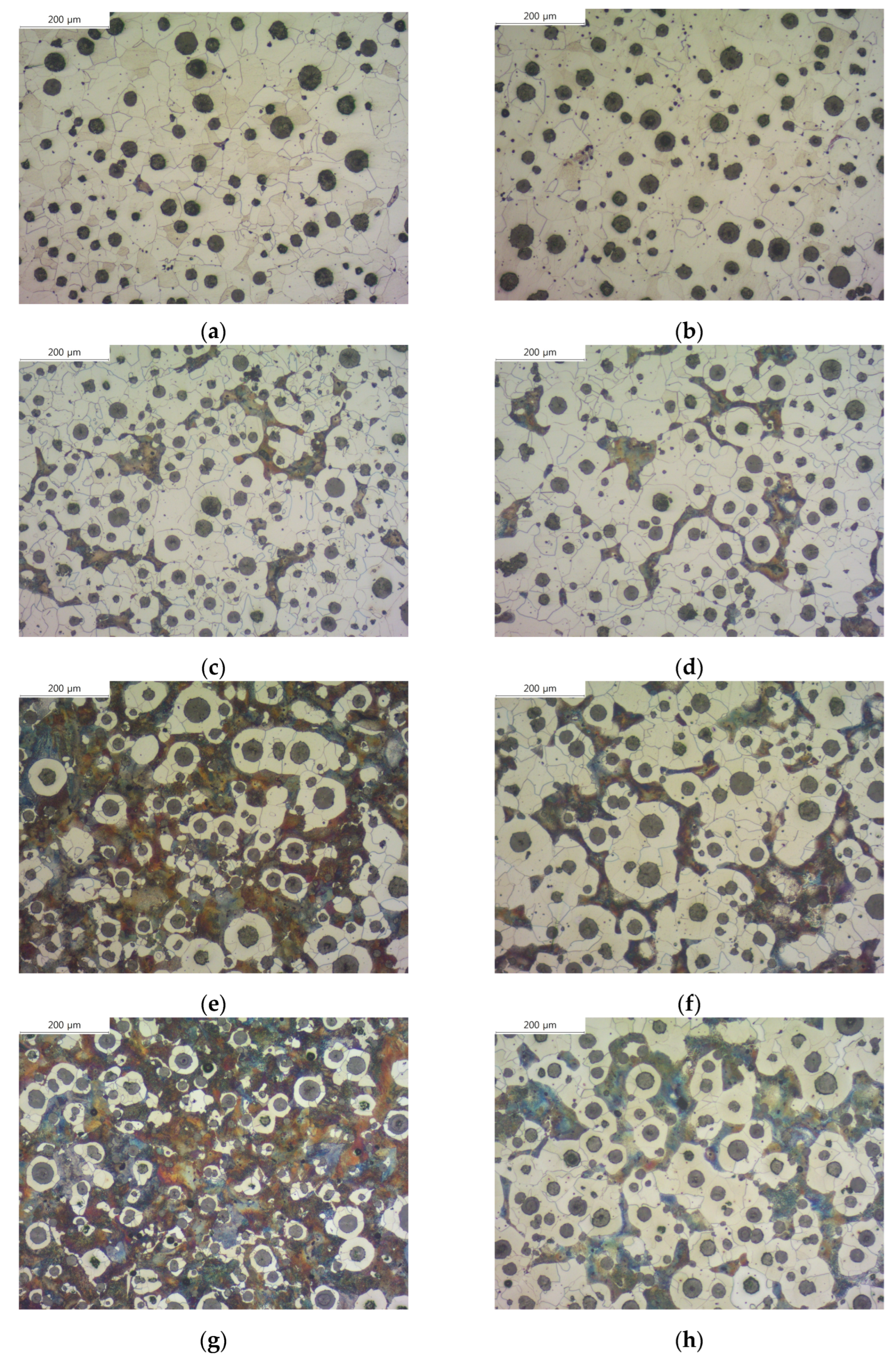 Materials 16 04225 g002 Materials 16 04225 g002