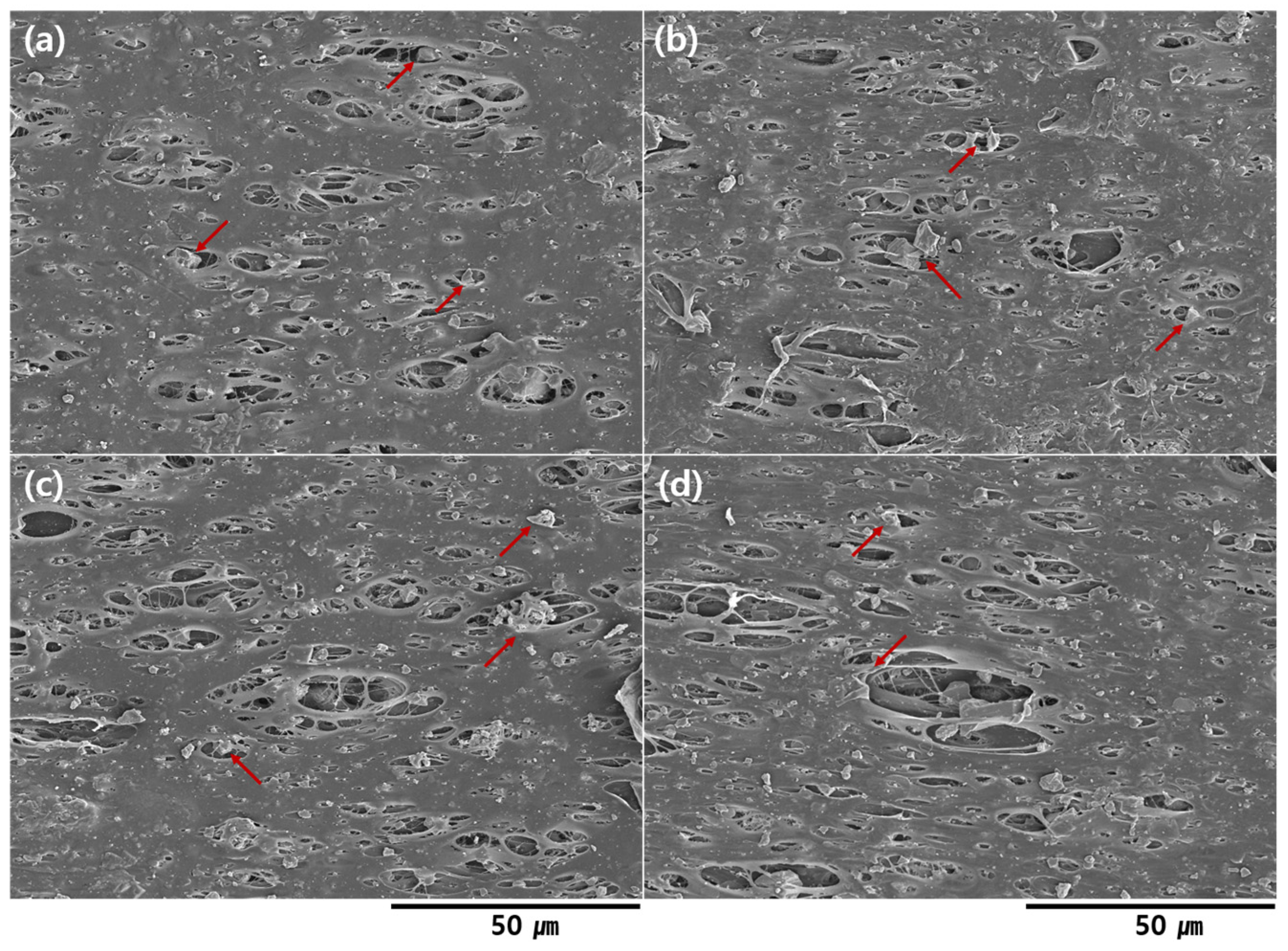 Materials 16 04230 g002 Materials 16 04230 g002