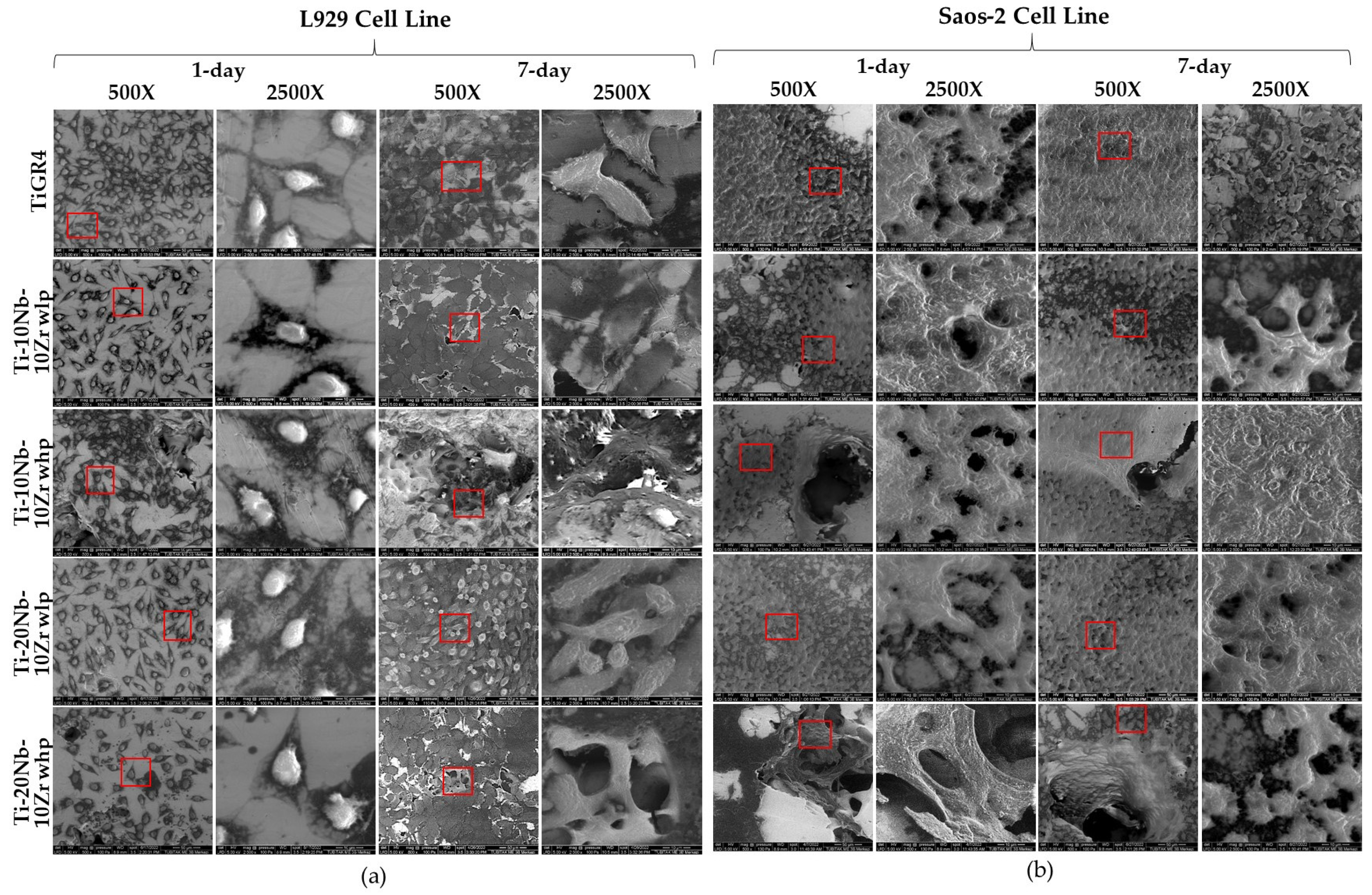 Materials 16 04240 g012 Materials 16 04240 g012