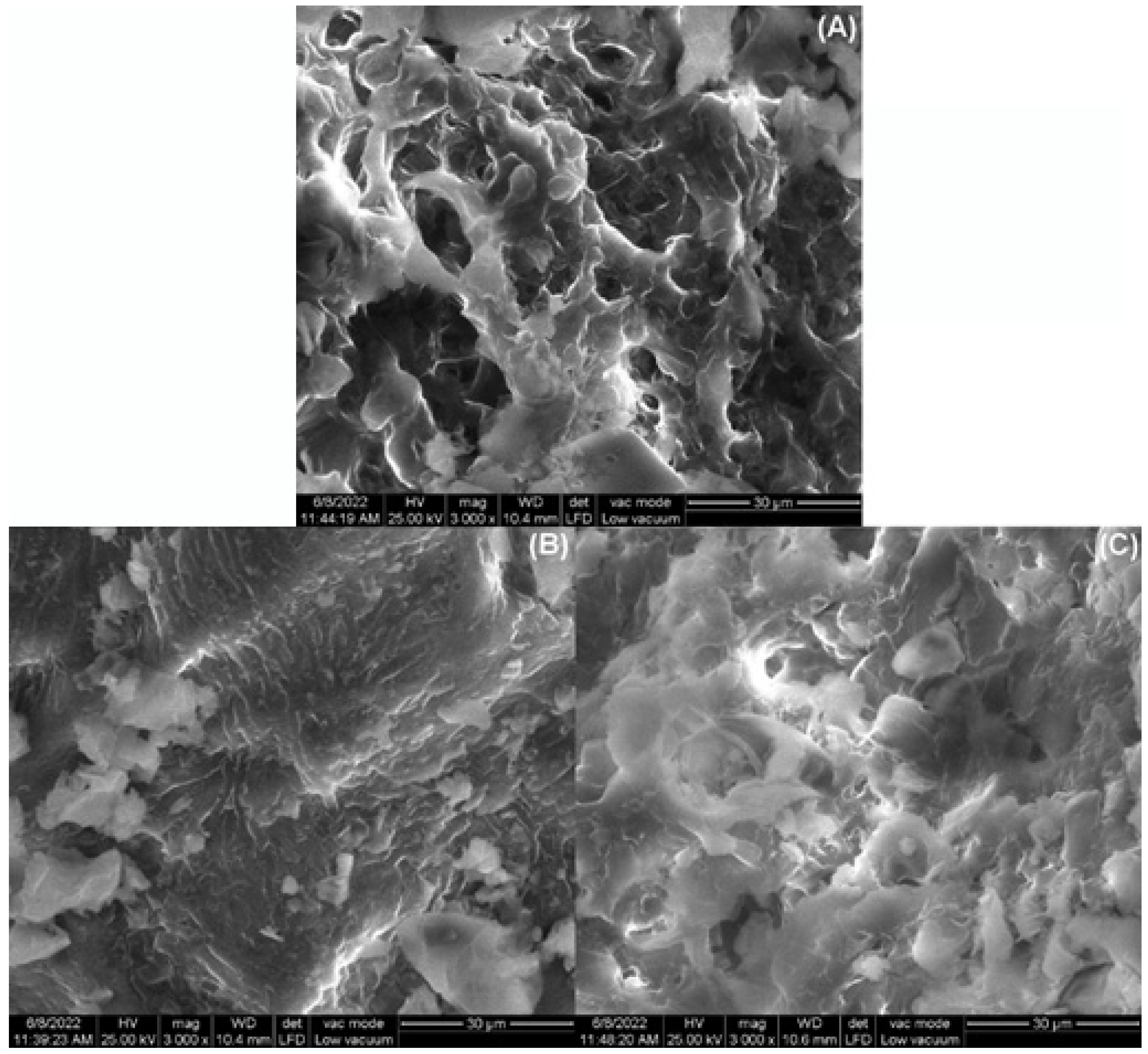 Materials 16 04252 g002 Materials 16 04252 g002