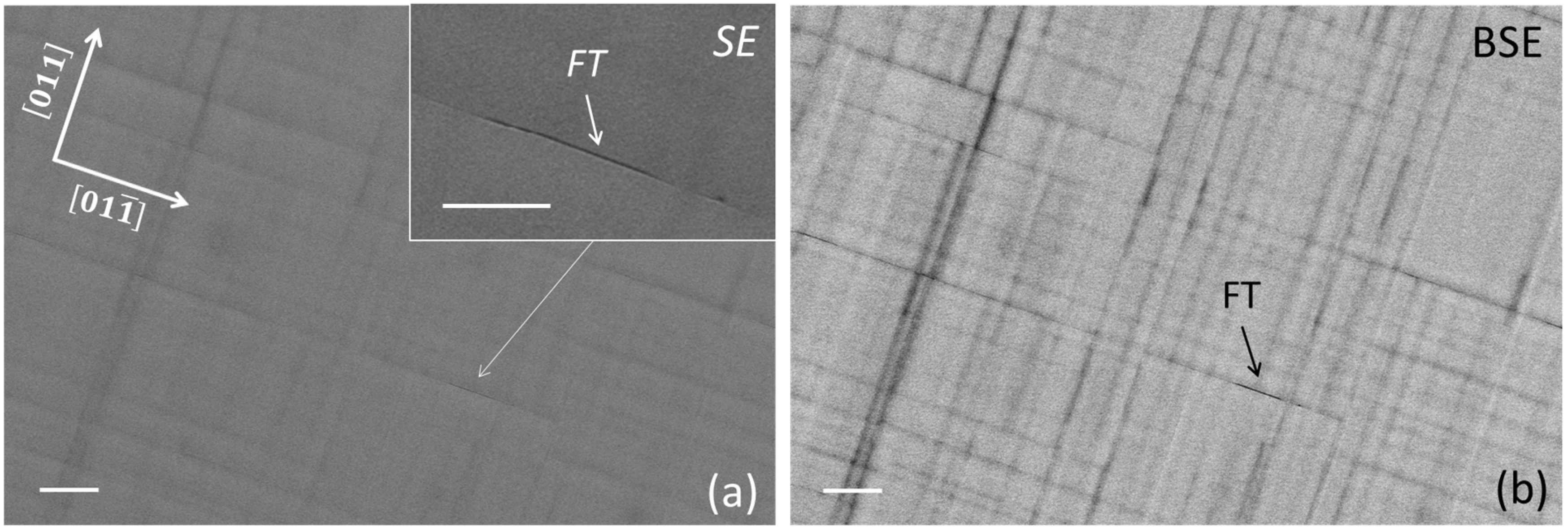Materials 16 04254 g002