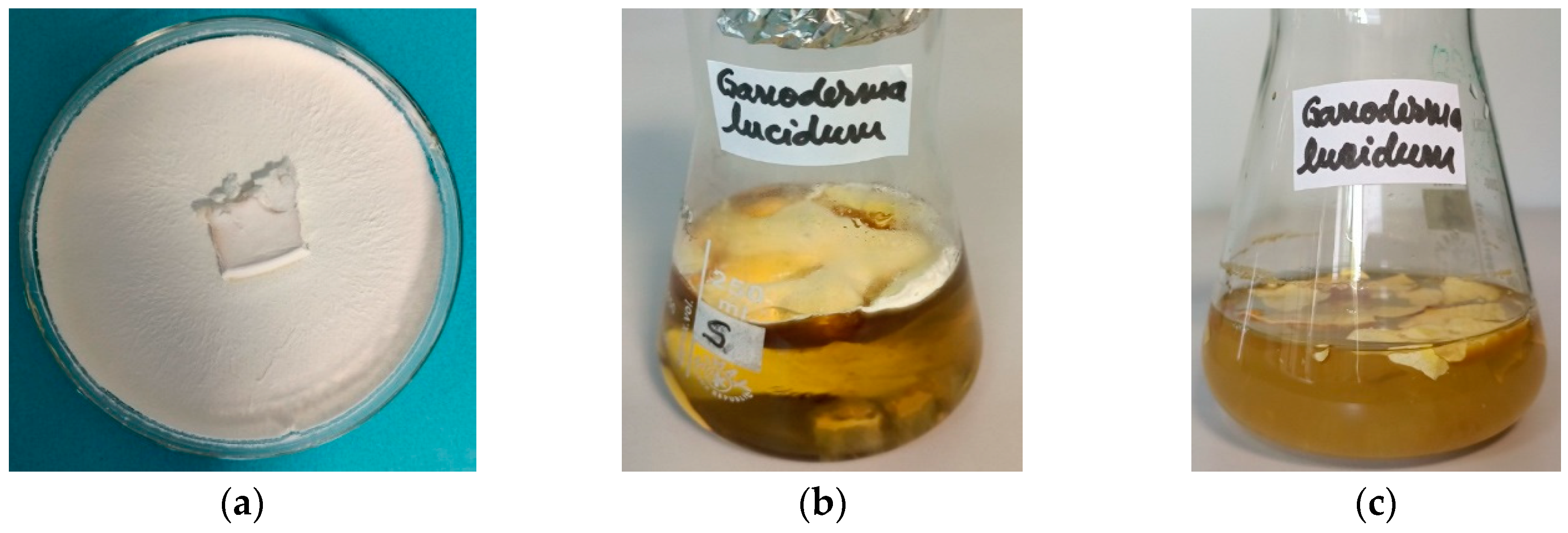 Materials 16 04261 g001 Materials 16 04261 g001