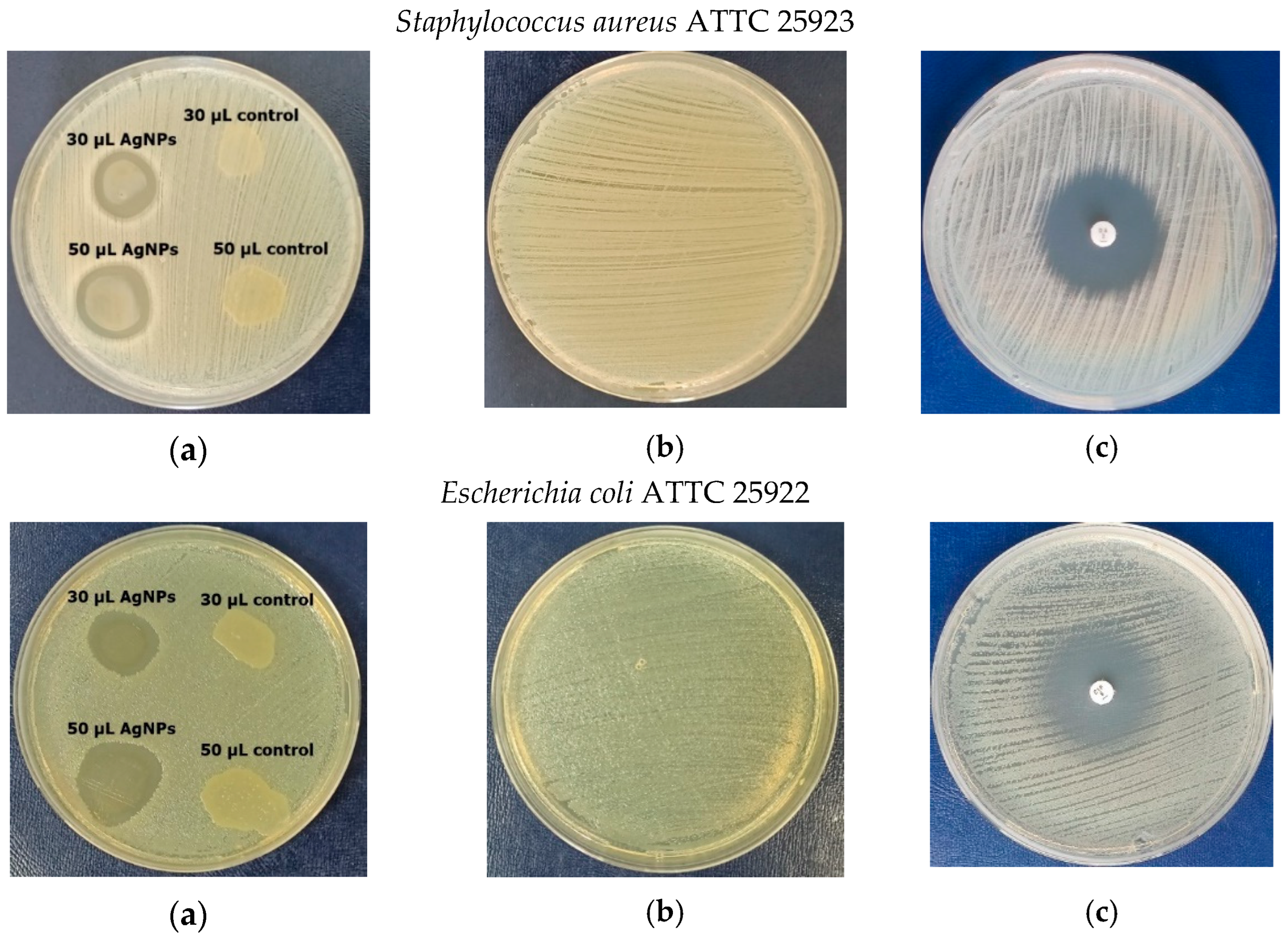 Materials 16 04261 g008a Materials 16 04261 g008a