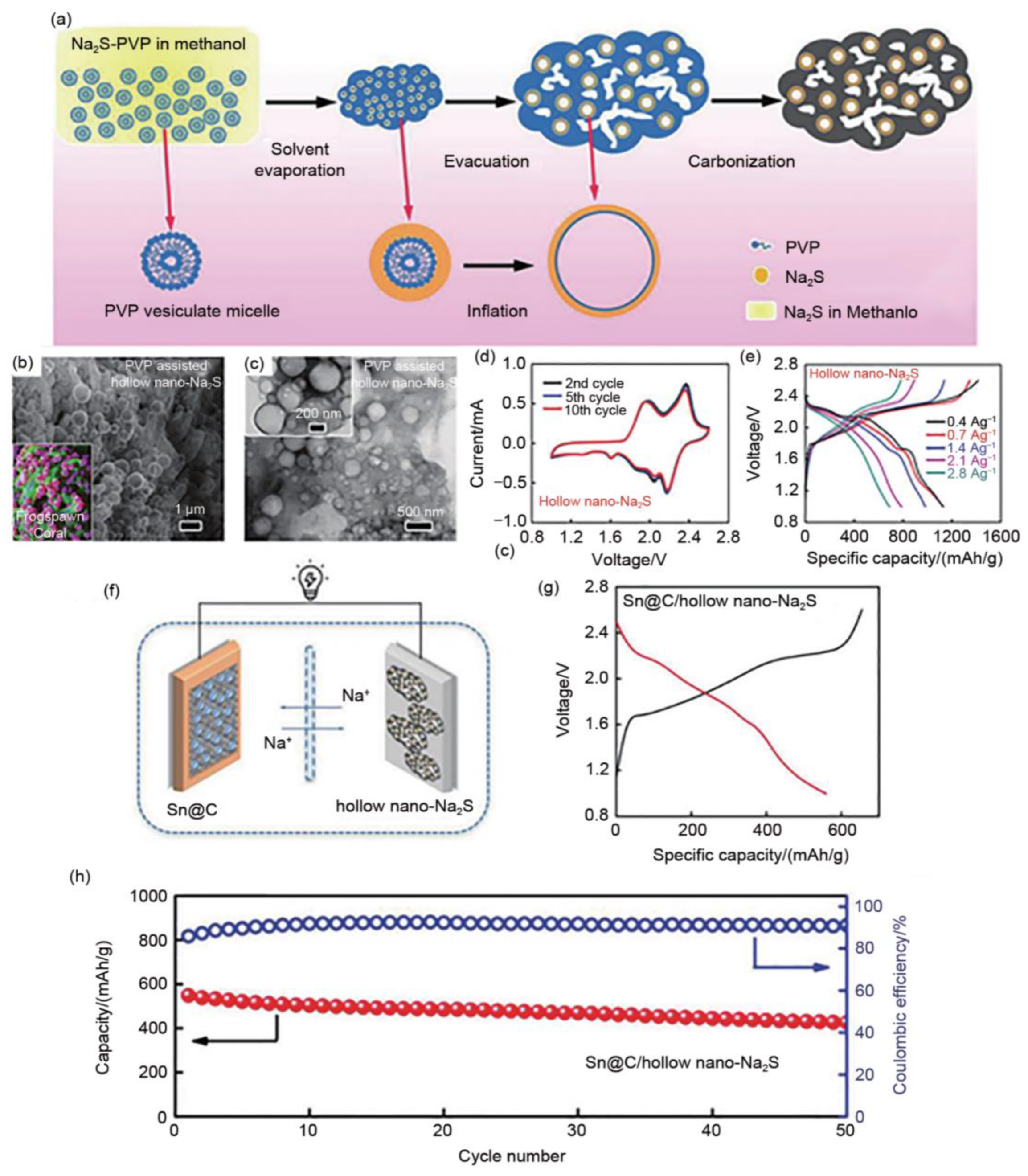 Materials 16 04263 g010