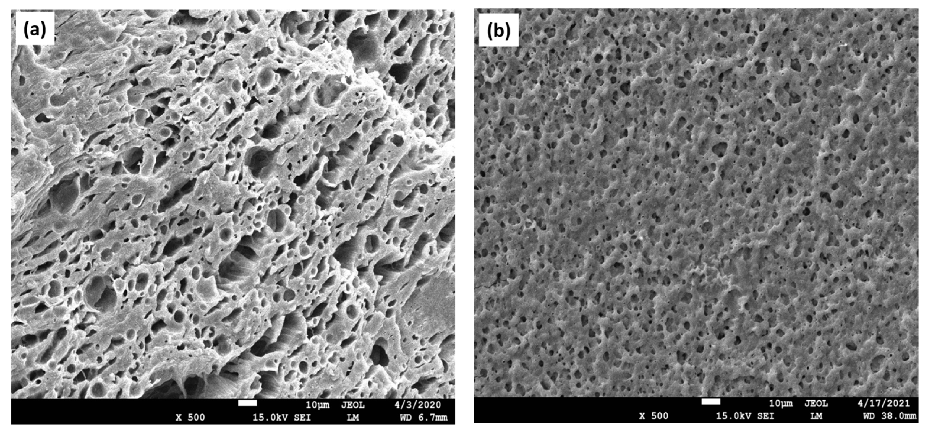 Materials 16 04267 g001 Materials 16 04267 g001