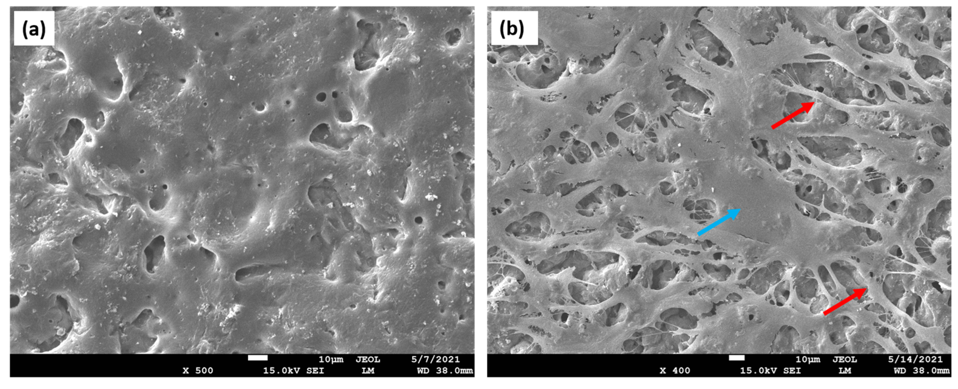 Materials 16 04267 g005 Materials 16 04267 g005