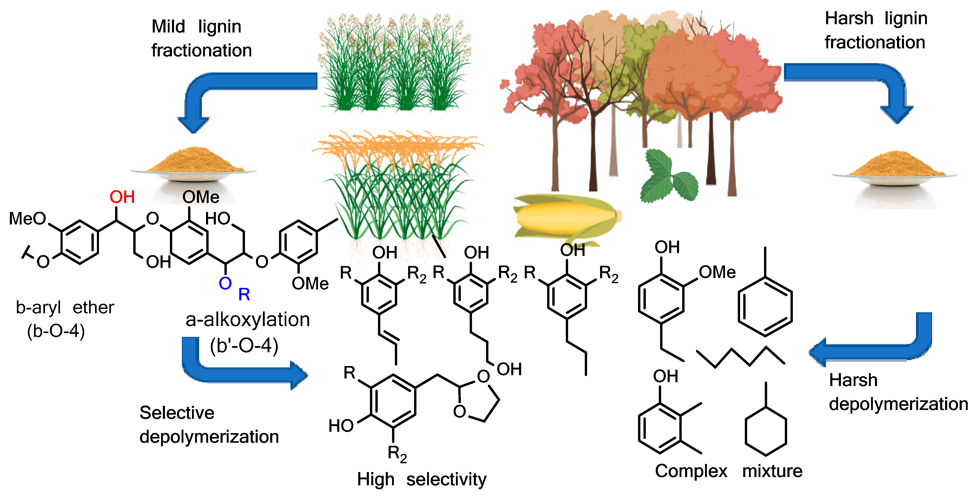 Materials 16 04271 g002
