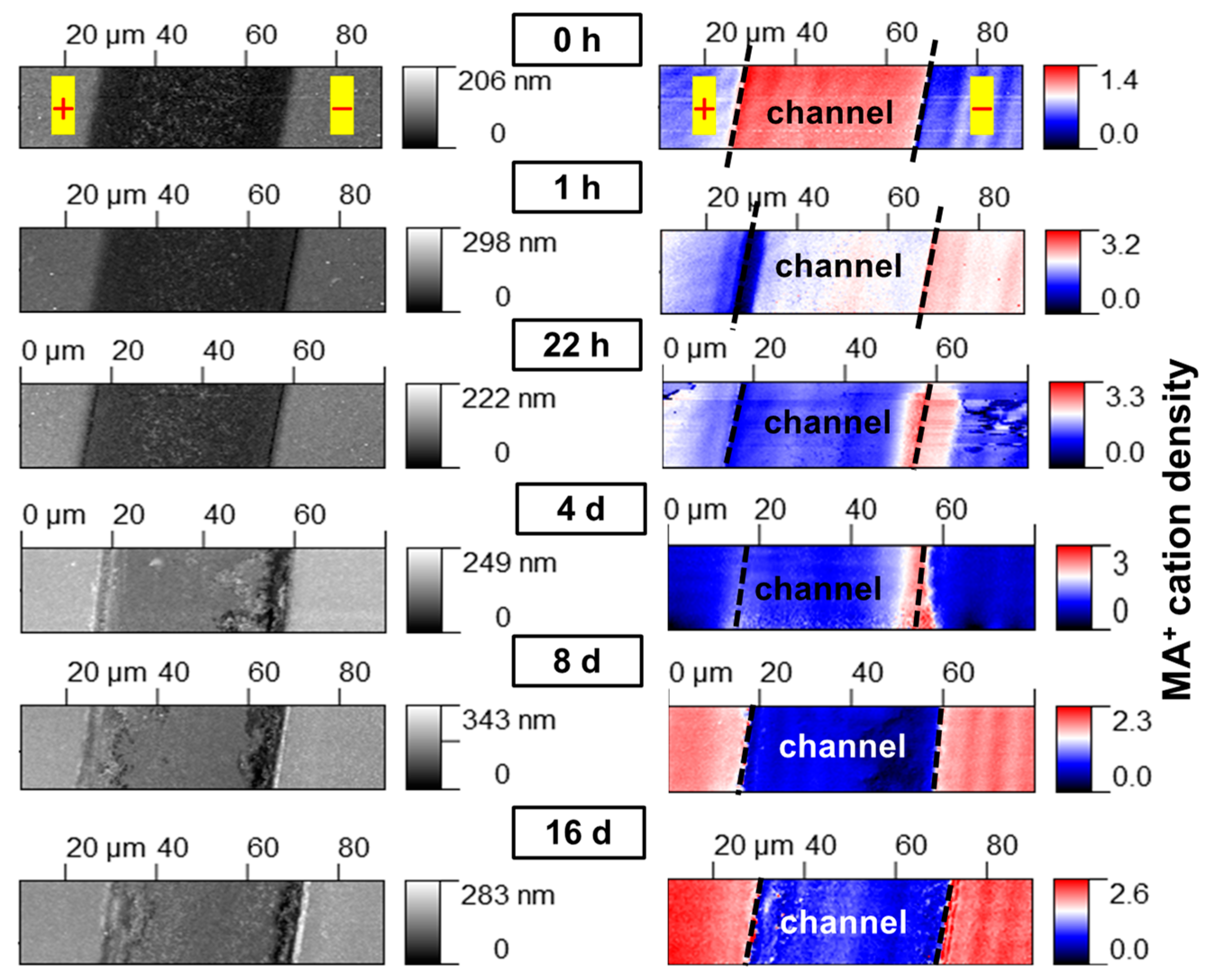 Materials 16 04277 g001