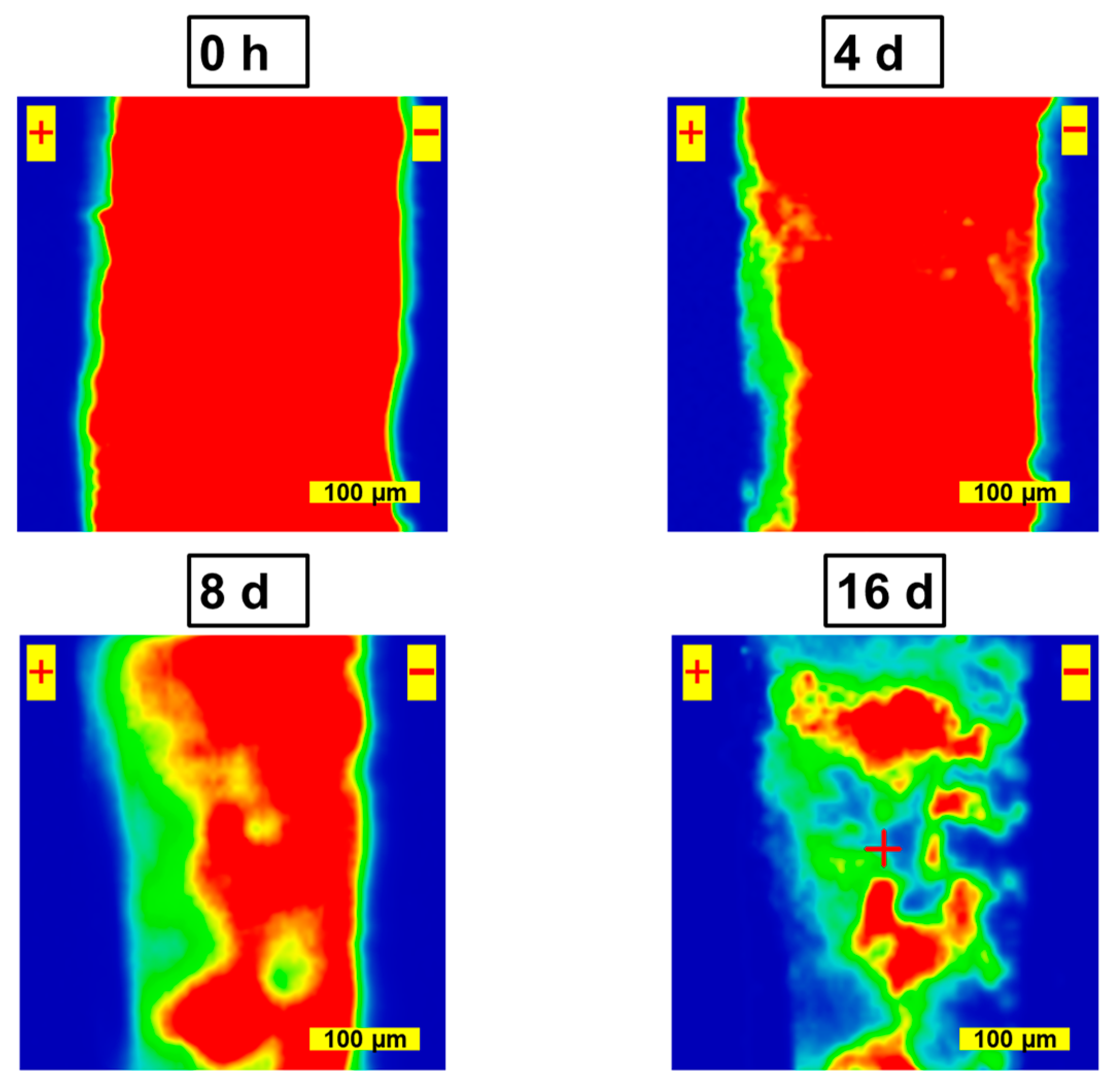 Materials 16 04277 g002