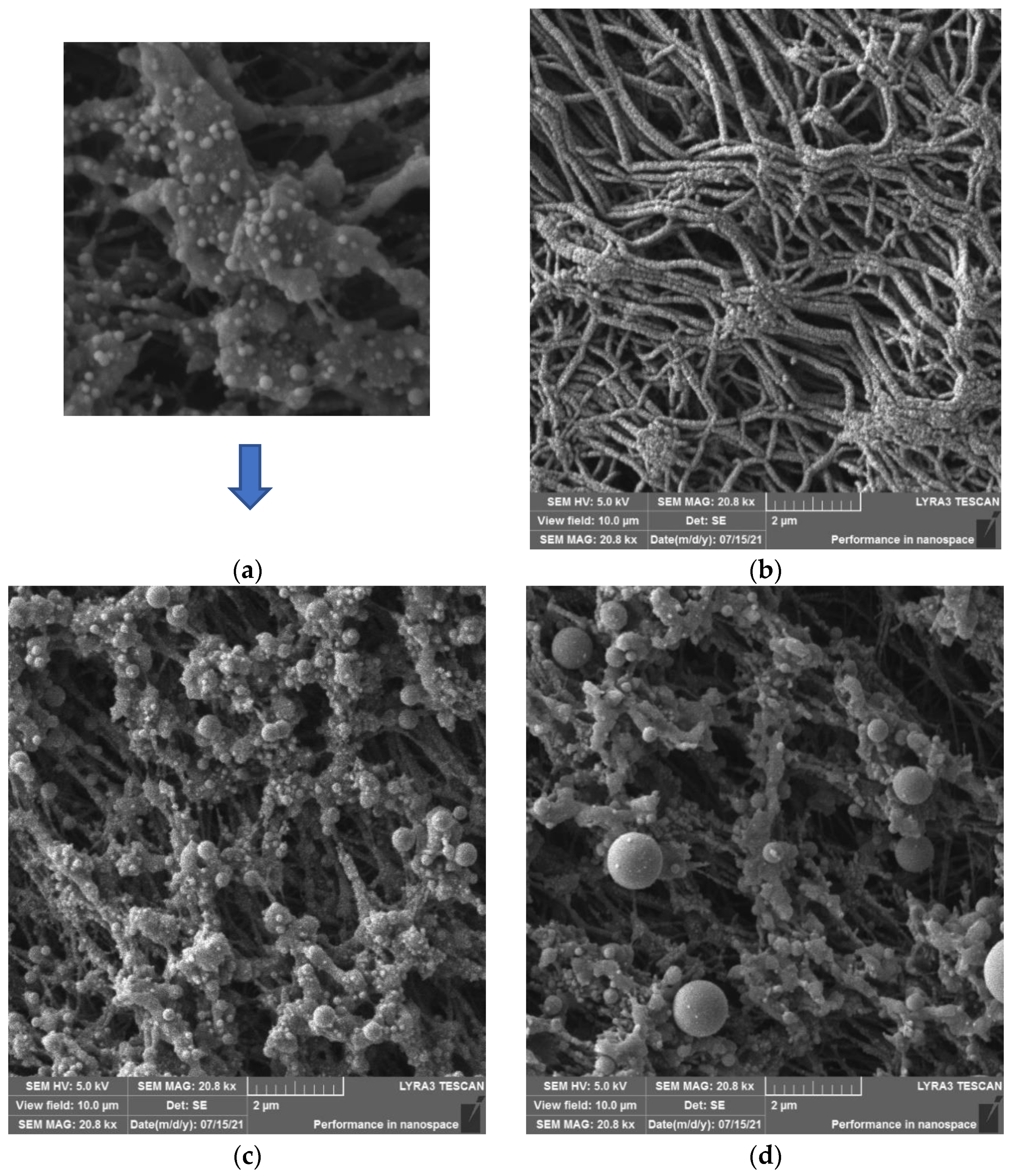 Materials 16 04280 g009 Materials 16 04280 g009