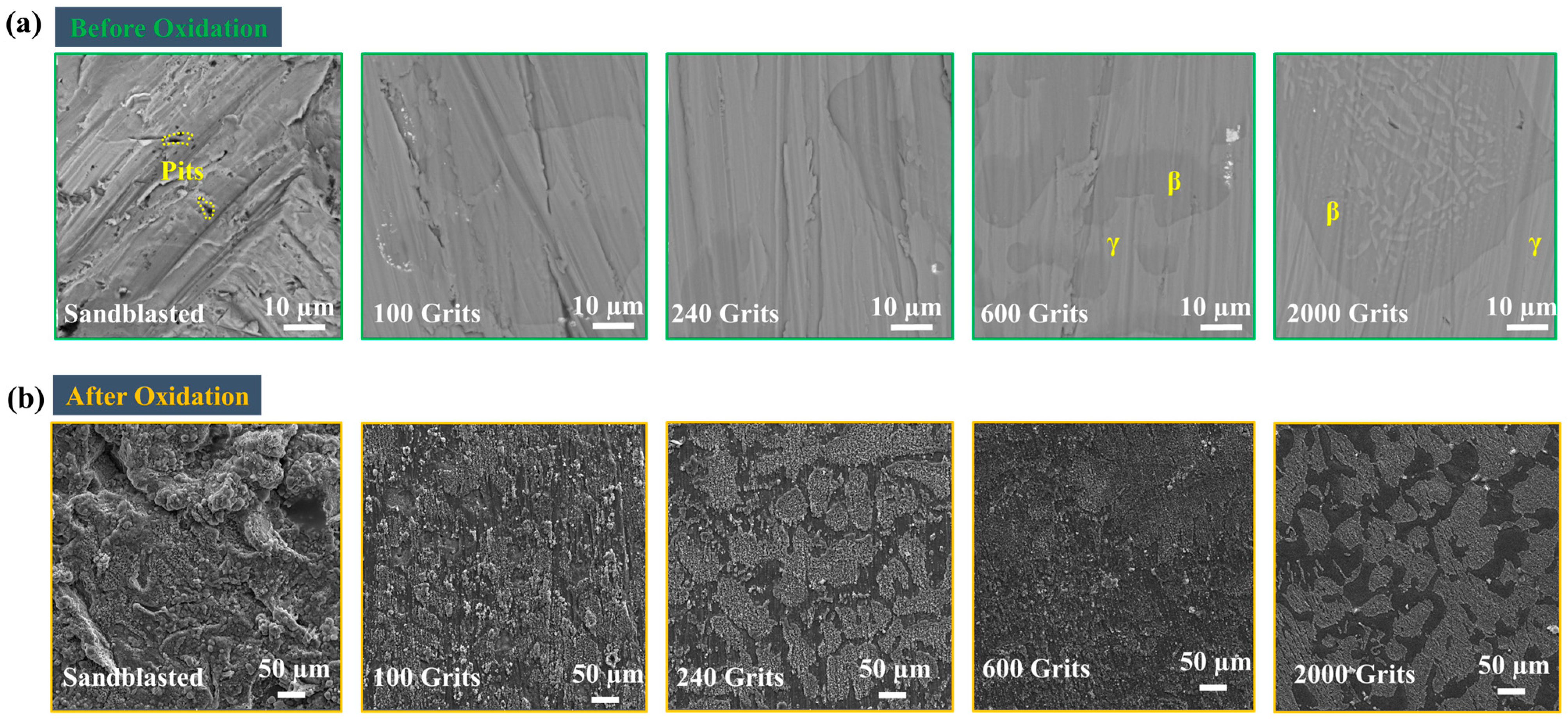 Materials 16 04282 g004 Materials 16 04282 g004