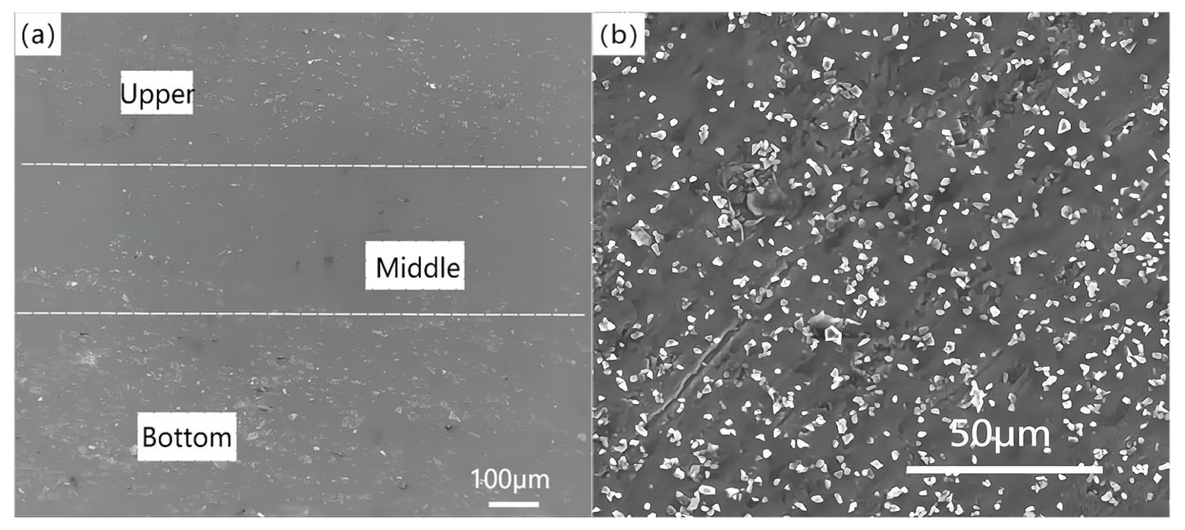 Materials 16 04290 g005