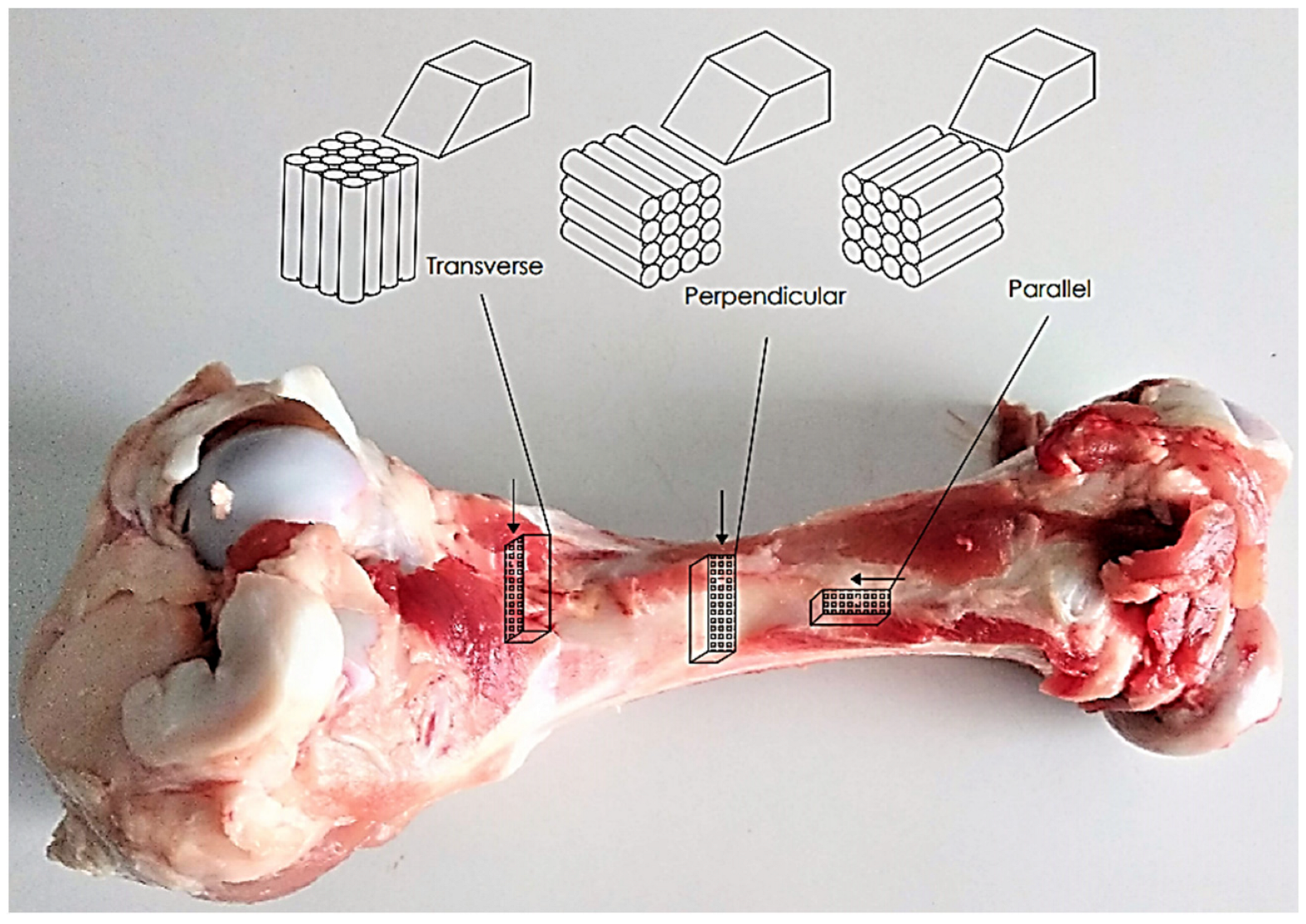 Materials 16 04293 g001