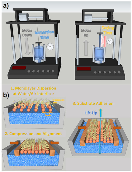 楽天 Quantum and Nanowires Aligned Vertically Dots: and Promises SF・ファンタジー・ホラー