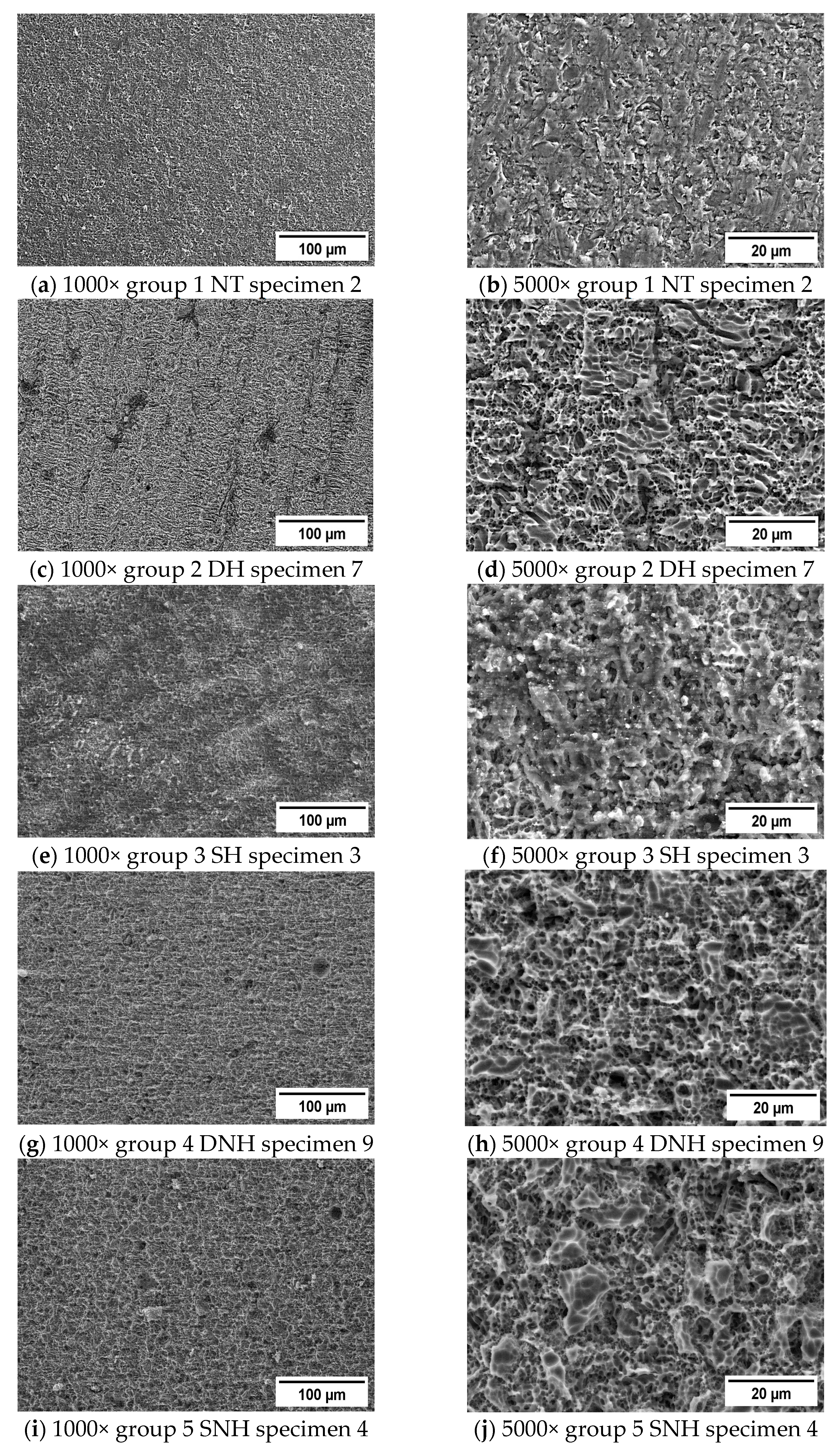 Materials 16 04303 g003 Materials 16 04303 g003