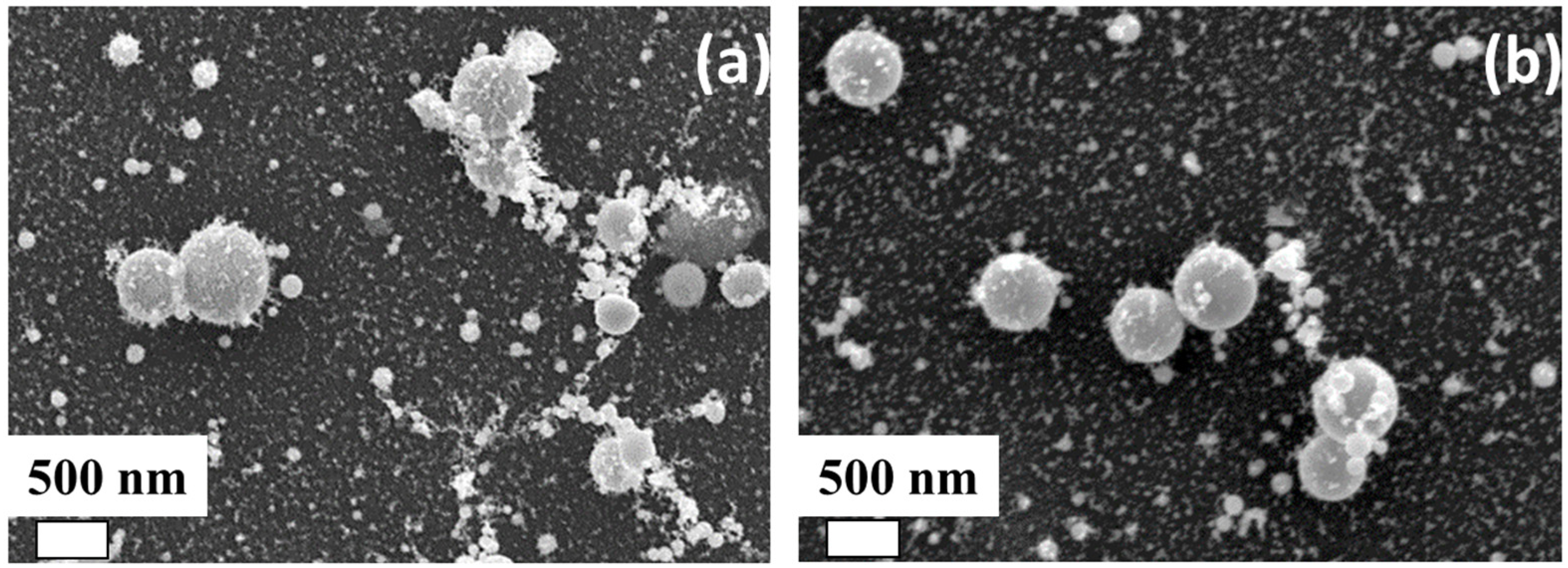 Materials 16 04309 g002 Materials 16 04309 g002
