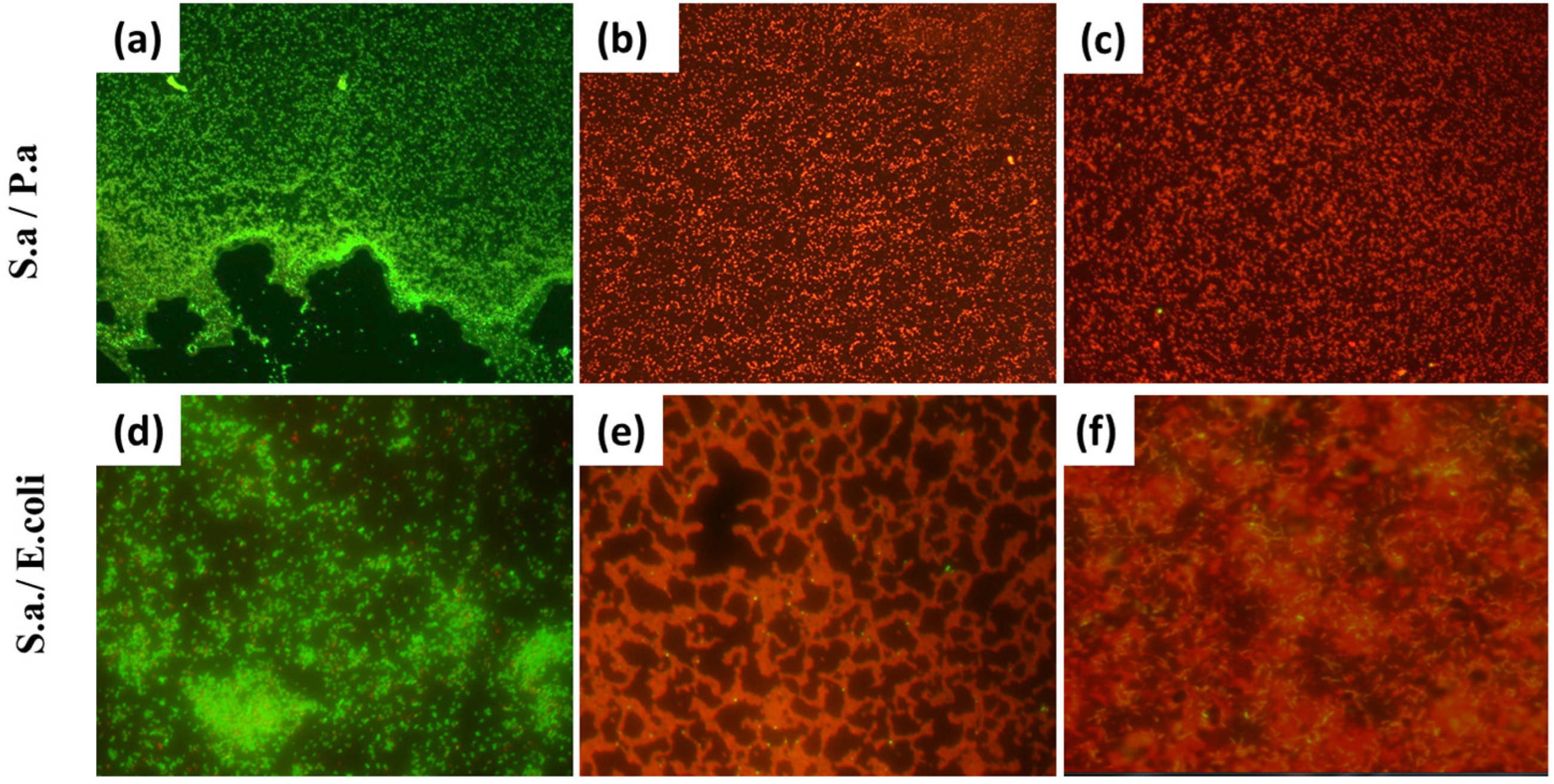 Materials 16 04309 g005 Materials 16 04309 g005