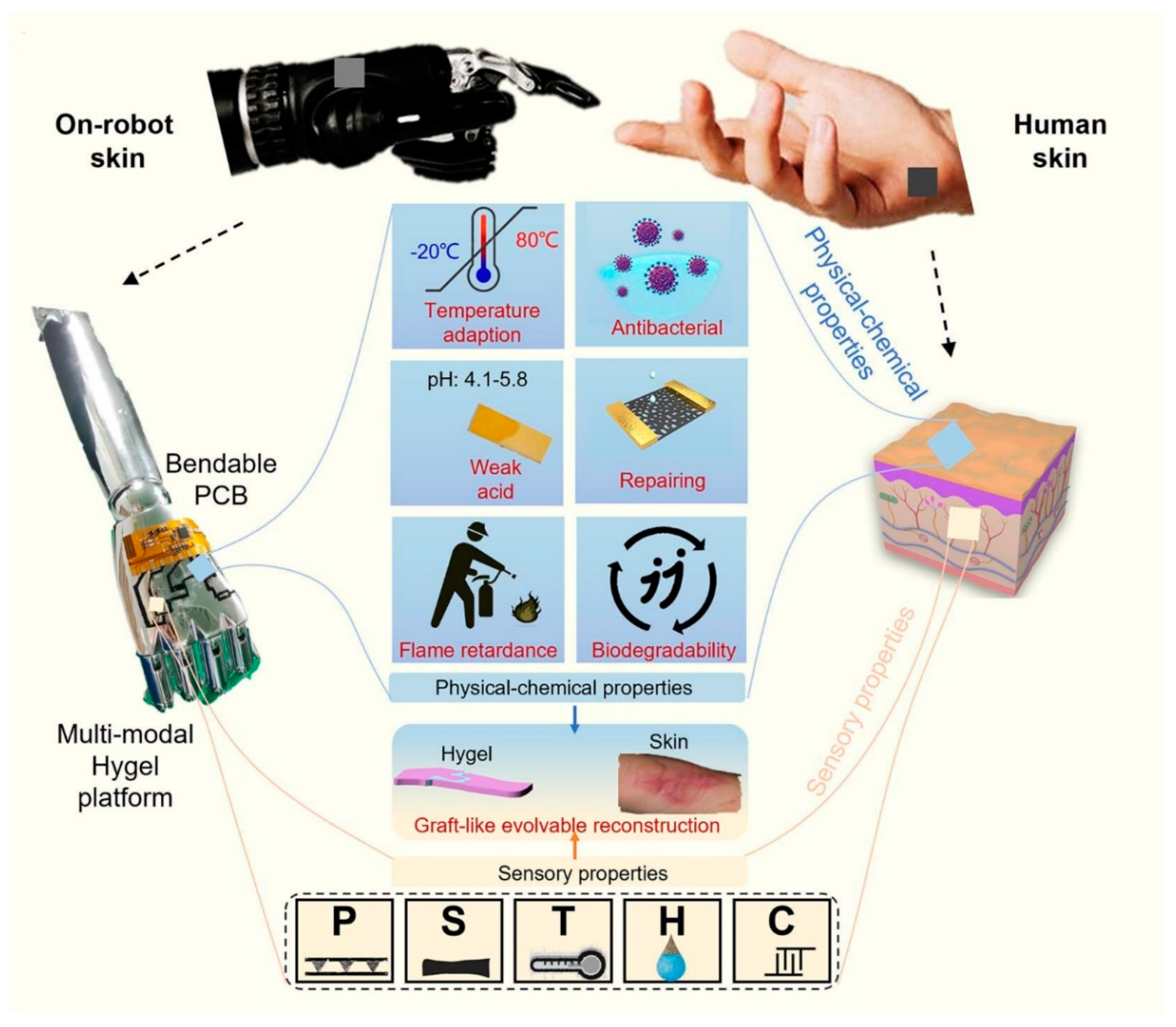 Materials 16 04310 g006