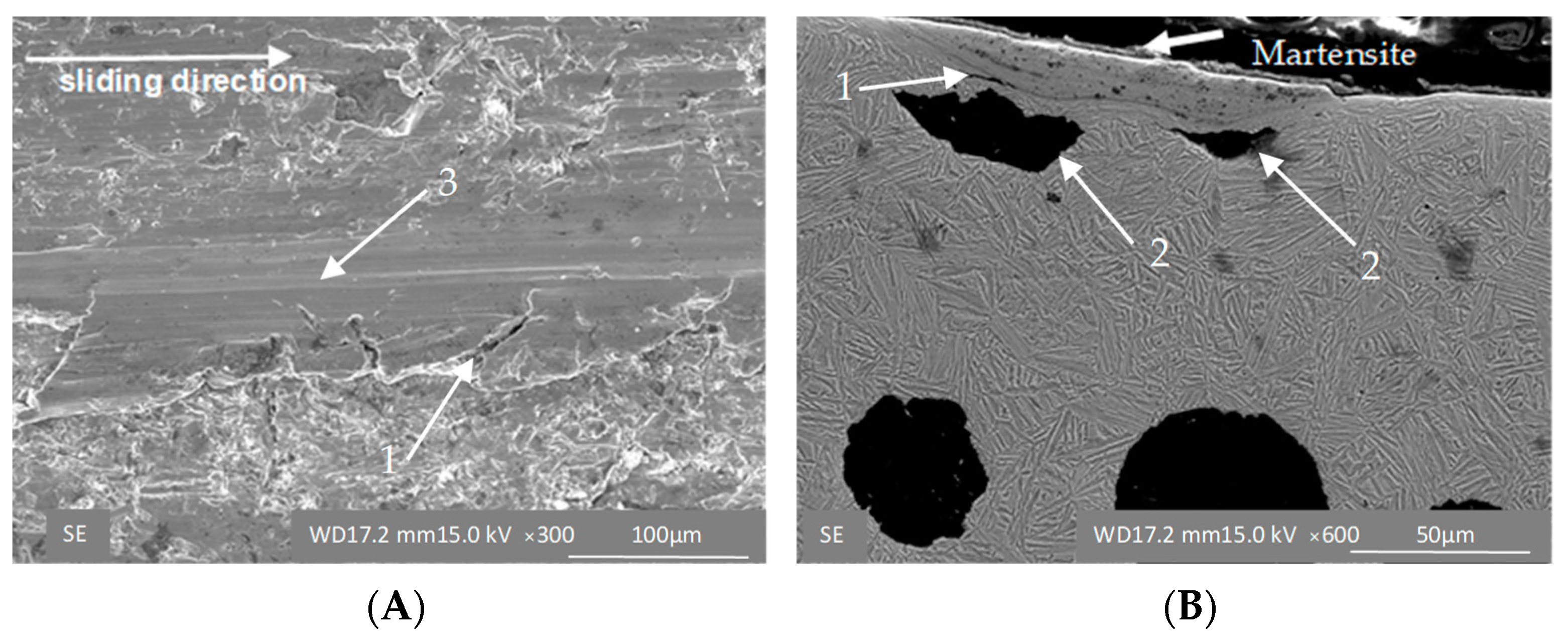 Materials 16 04311 g011 Materials 16 04311 g011