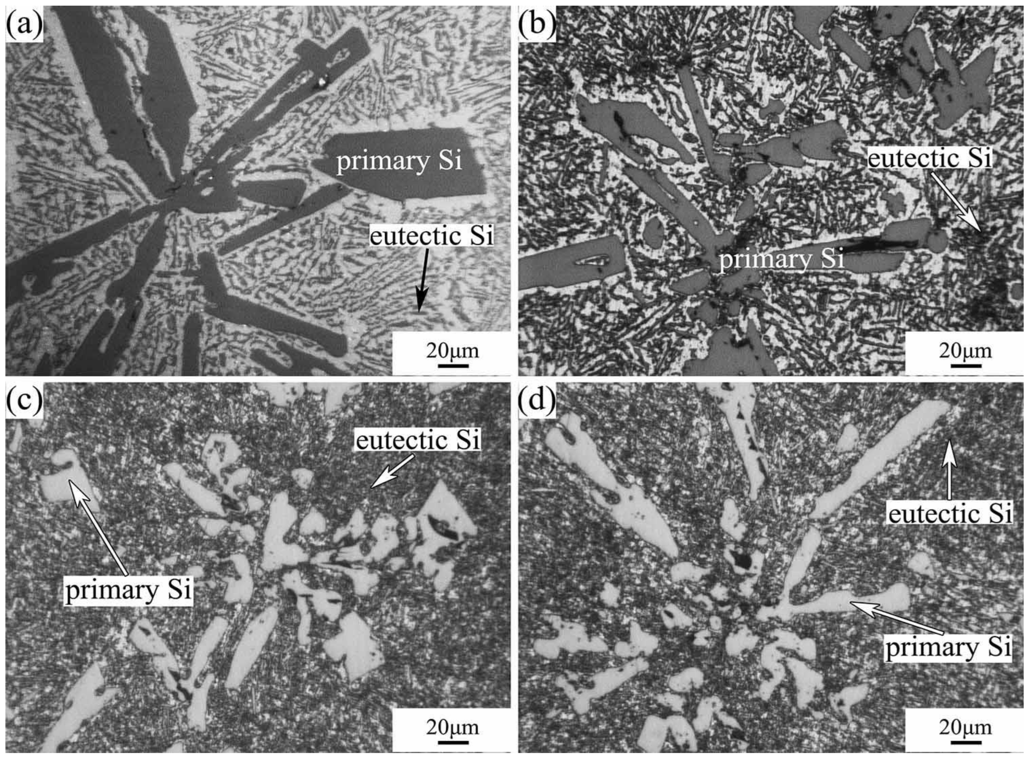 Materials 16 04312 g003