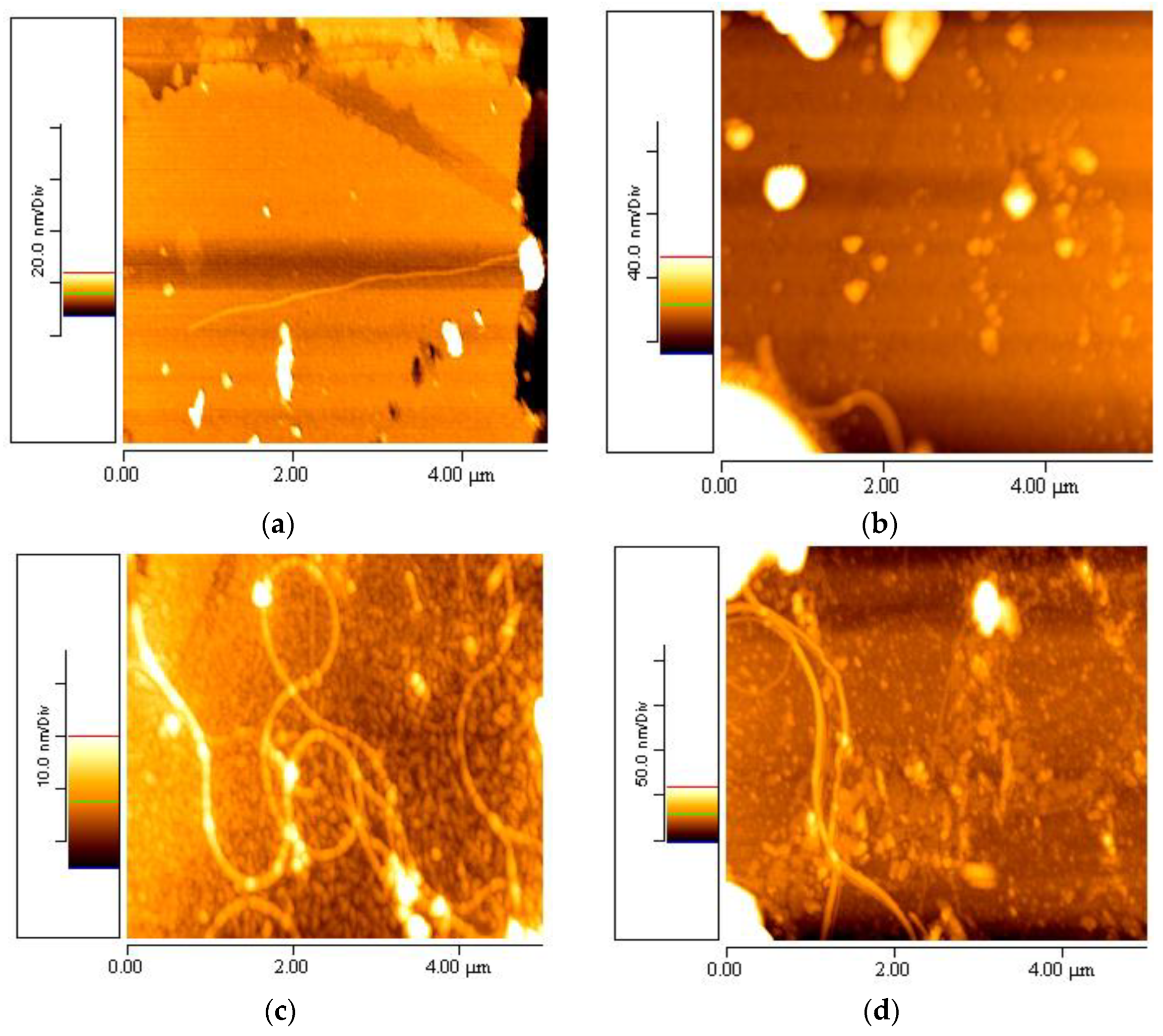 Materials 16 04313 g003 Materials 16 04313 g003