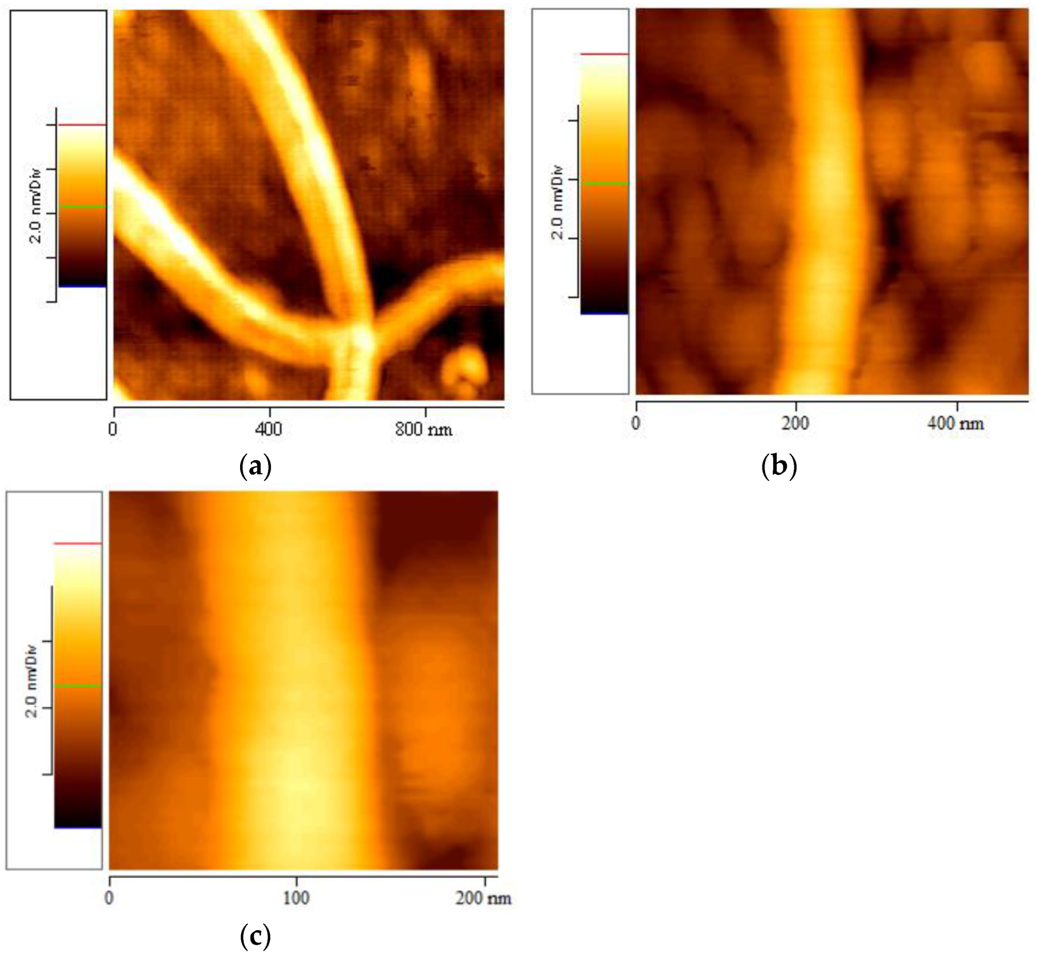 Materials 16 04313 g006 Materials 16 04313 g006