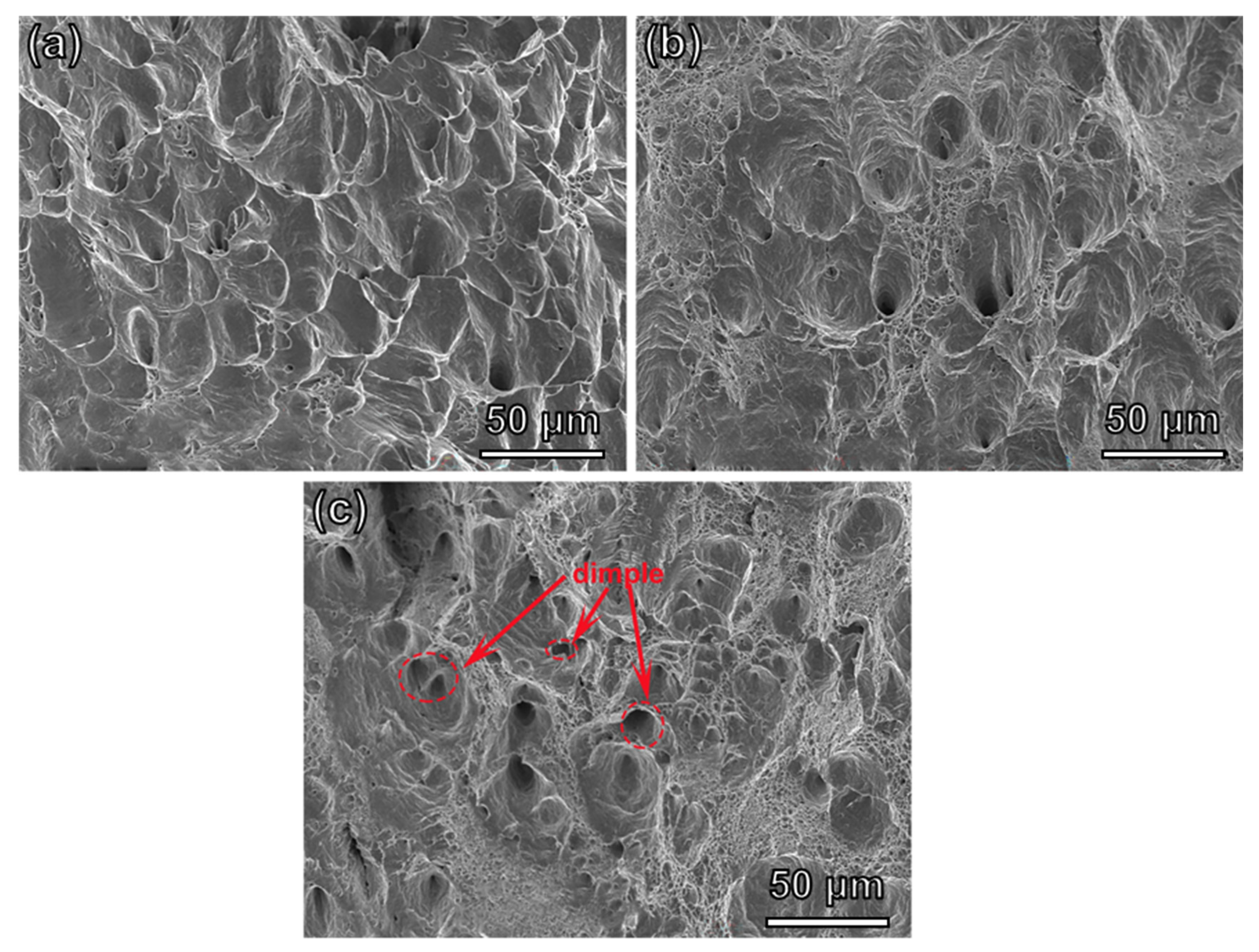 Materials 16 04319 g008 Materials 16 04319 g008