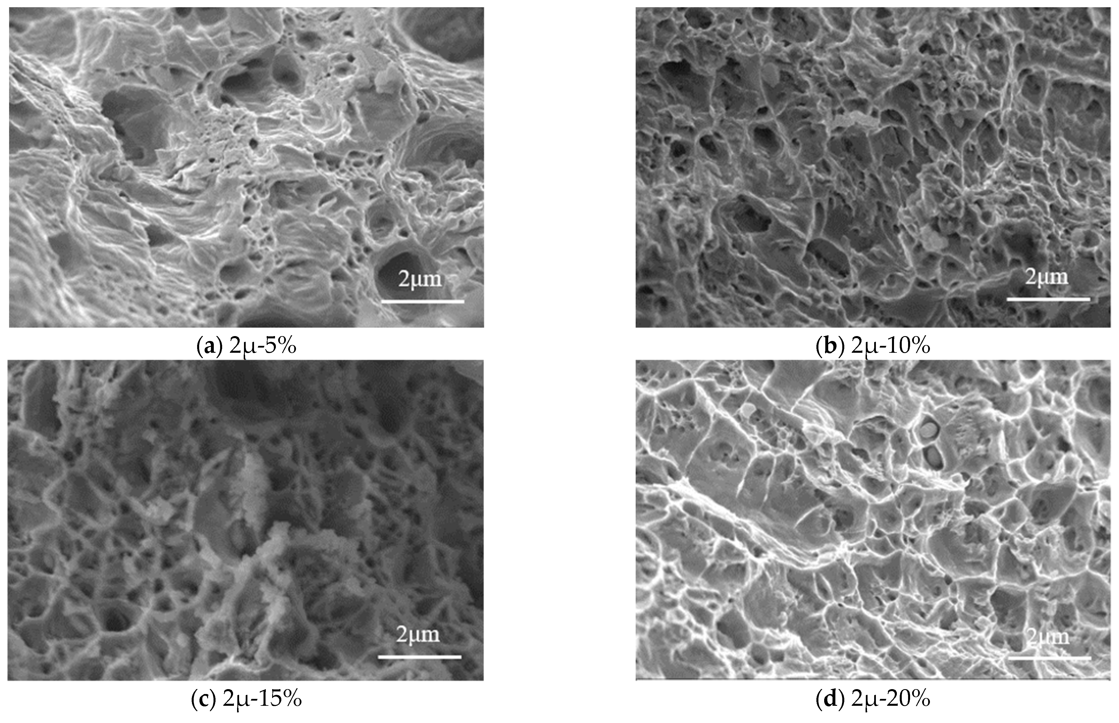 Materials 16 04320 g010a