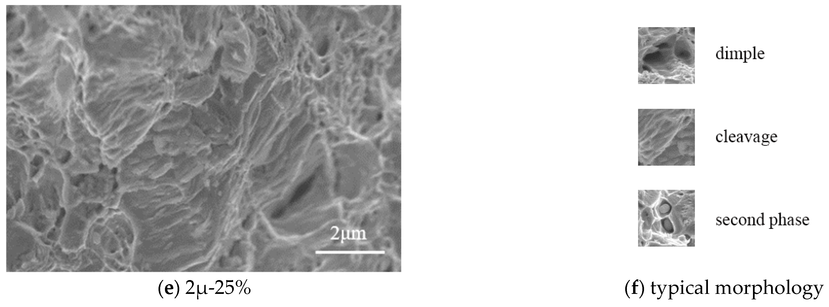 Materials 16 04320 g010b