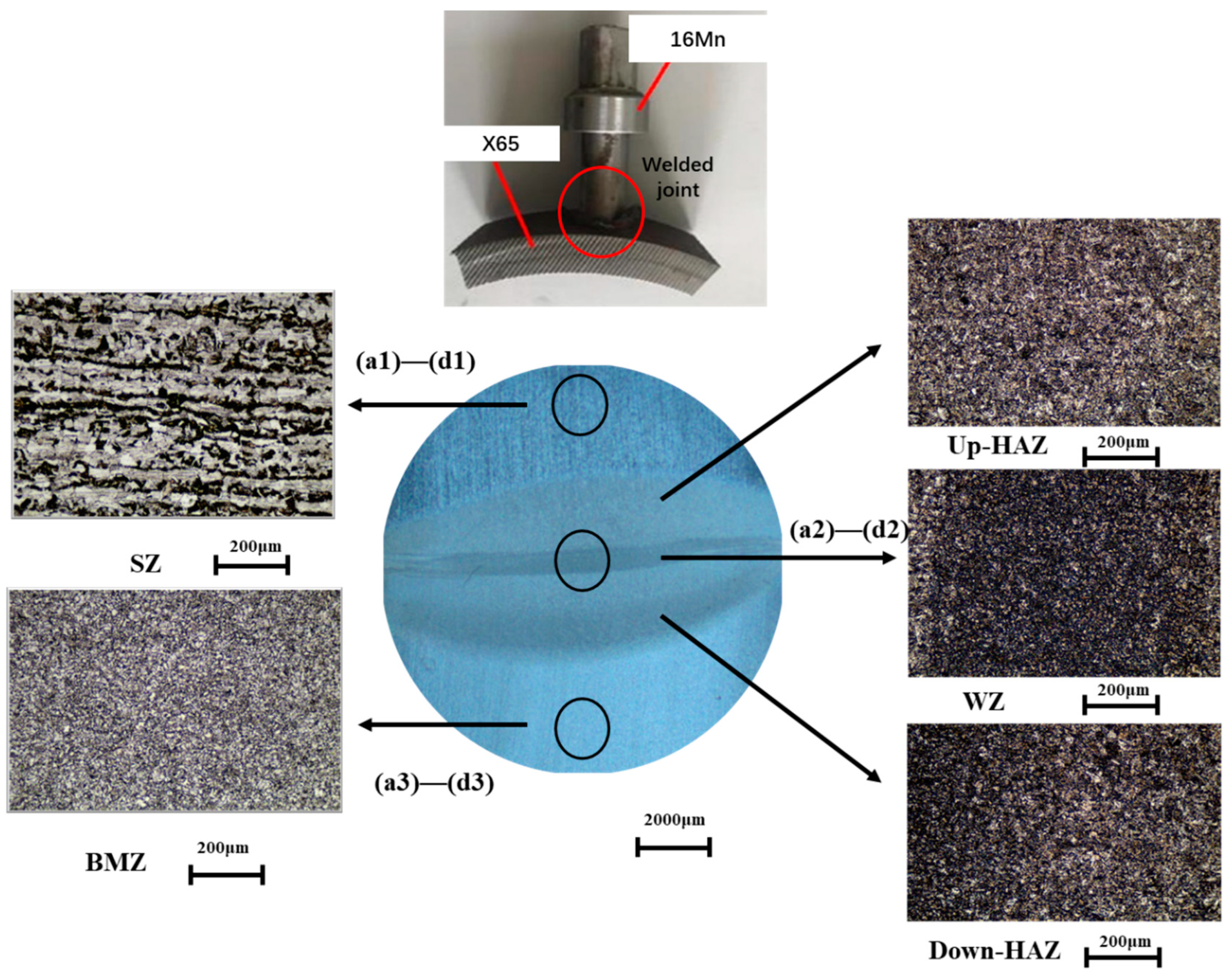 Materials 16 04326 g001