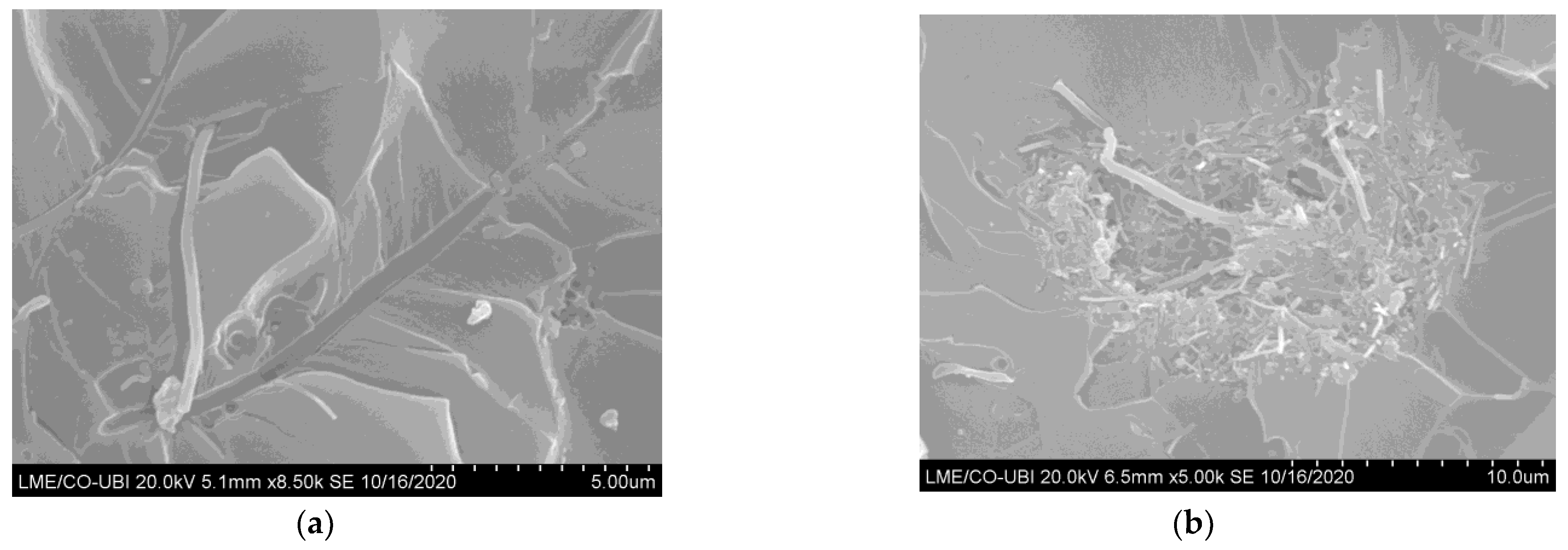 Materials 16 04332 g007 Materials 16 04332 g007