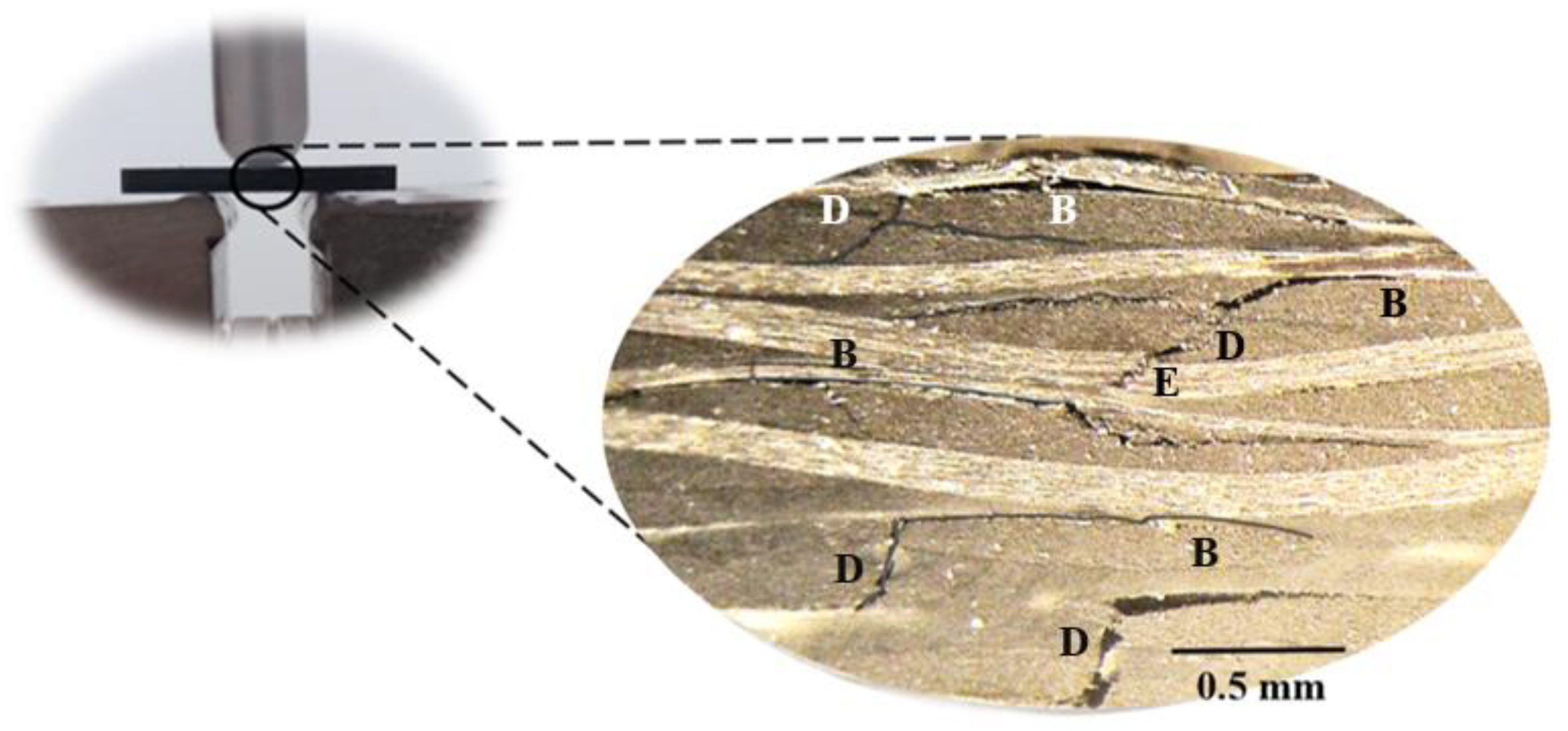 Materials 16 04332 g015 Materials 16 04332 g015