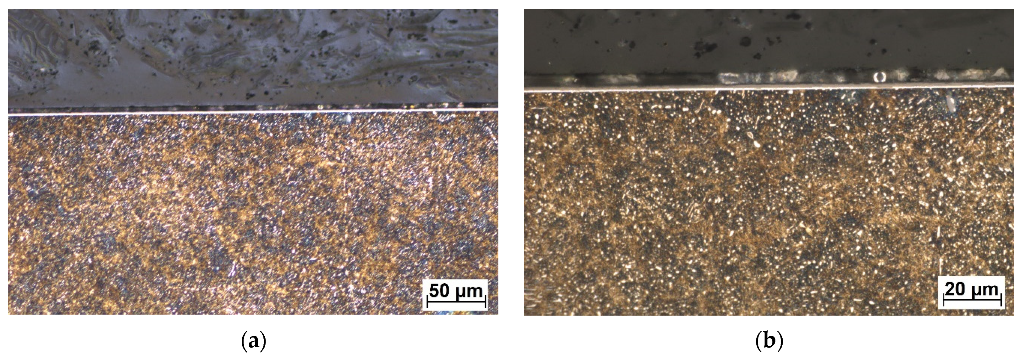 Materials 16 04334 g008