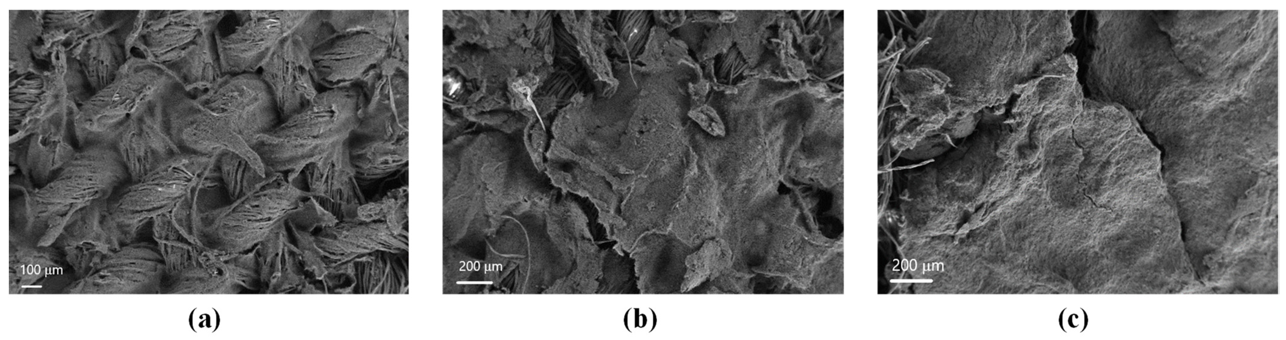 Materials 16 04335 g002 Materials 16 04335 g002