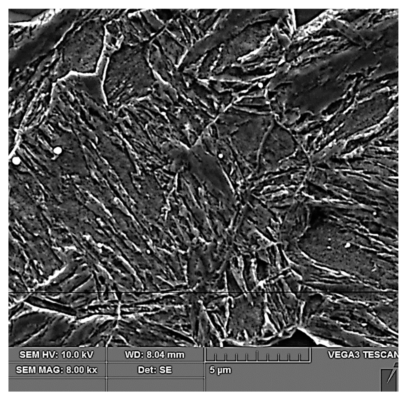 Materials 16 04340 g019