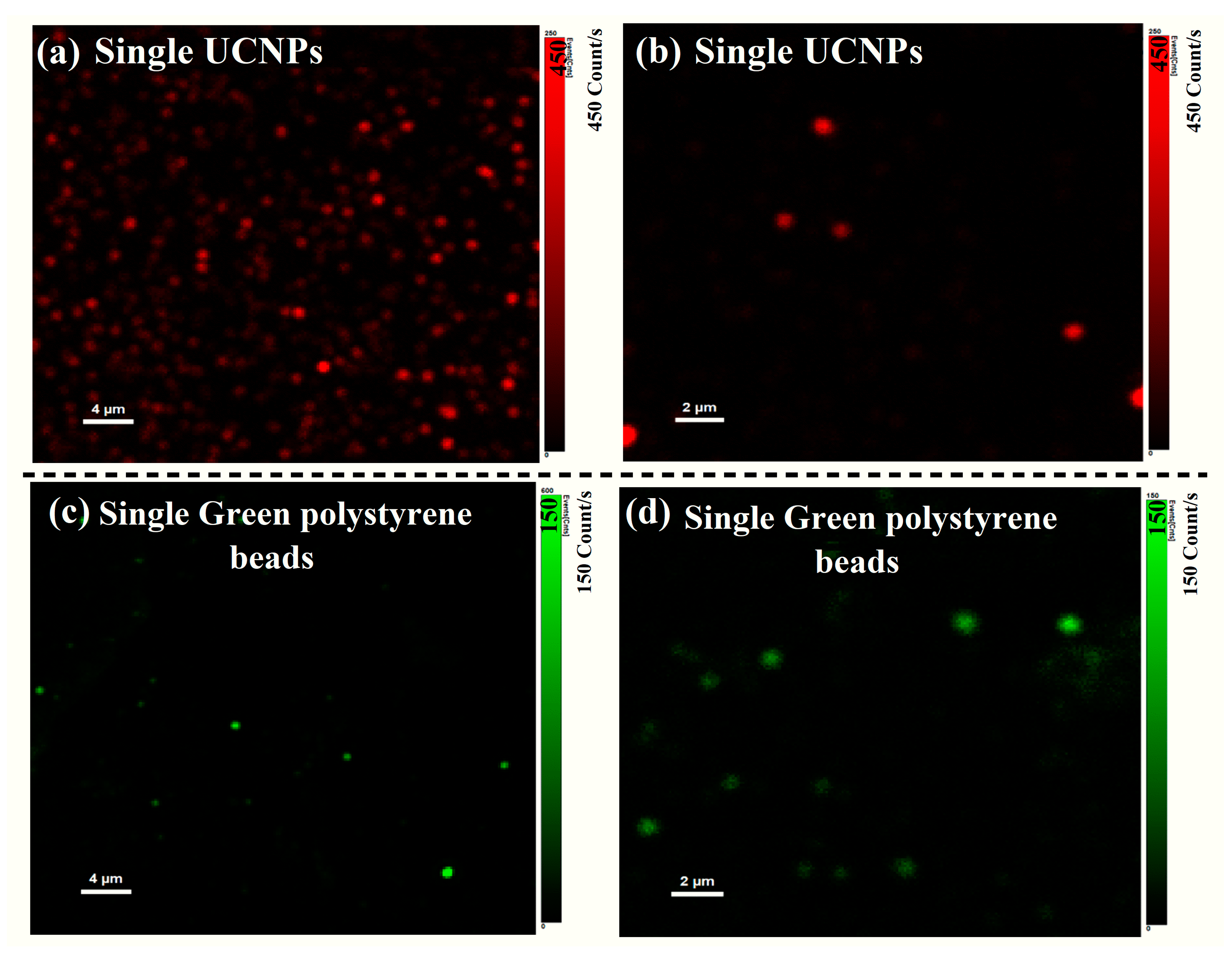 Materials 16 04354 g004