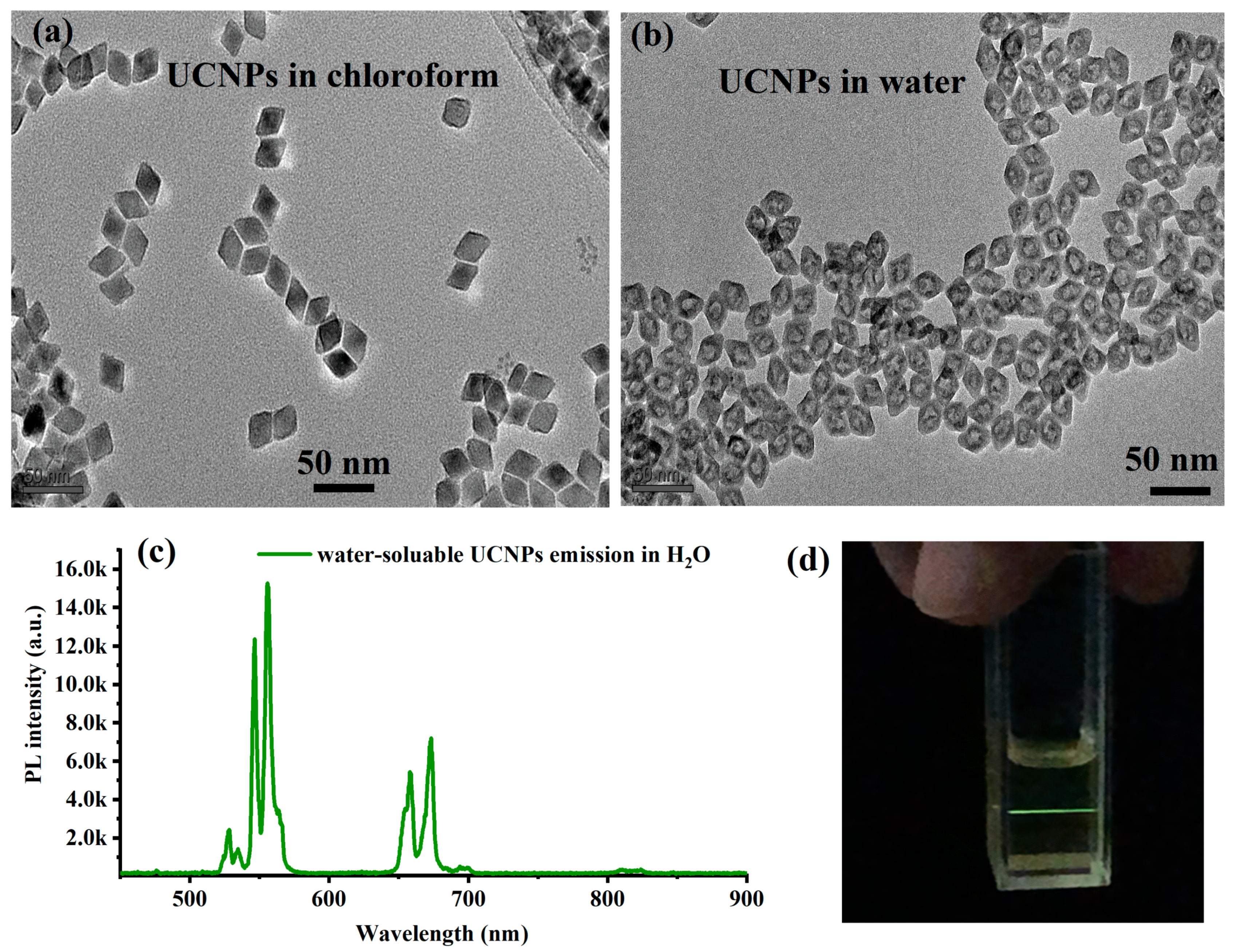 Materials 16 04354 g006