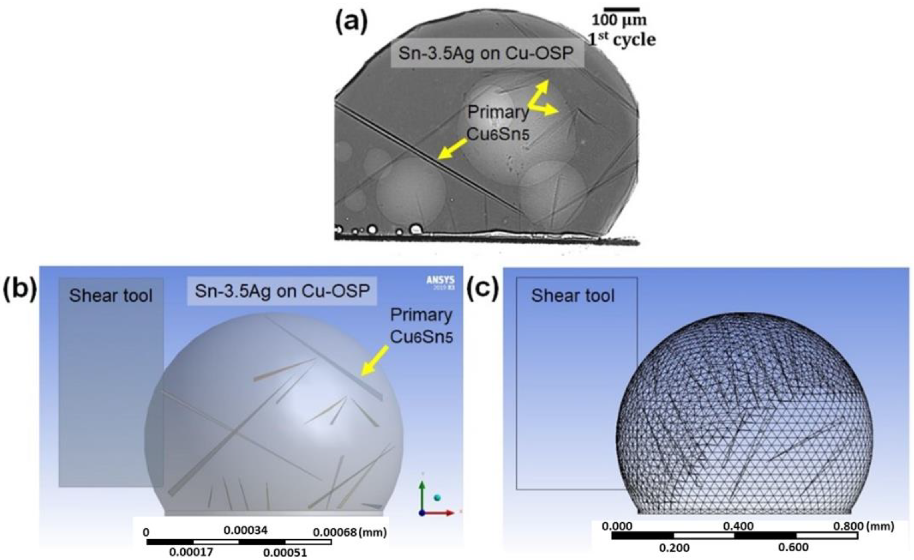 Materials 16 04360 g002