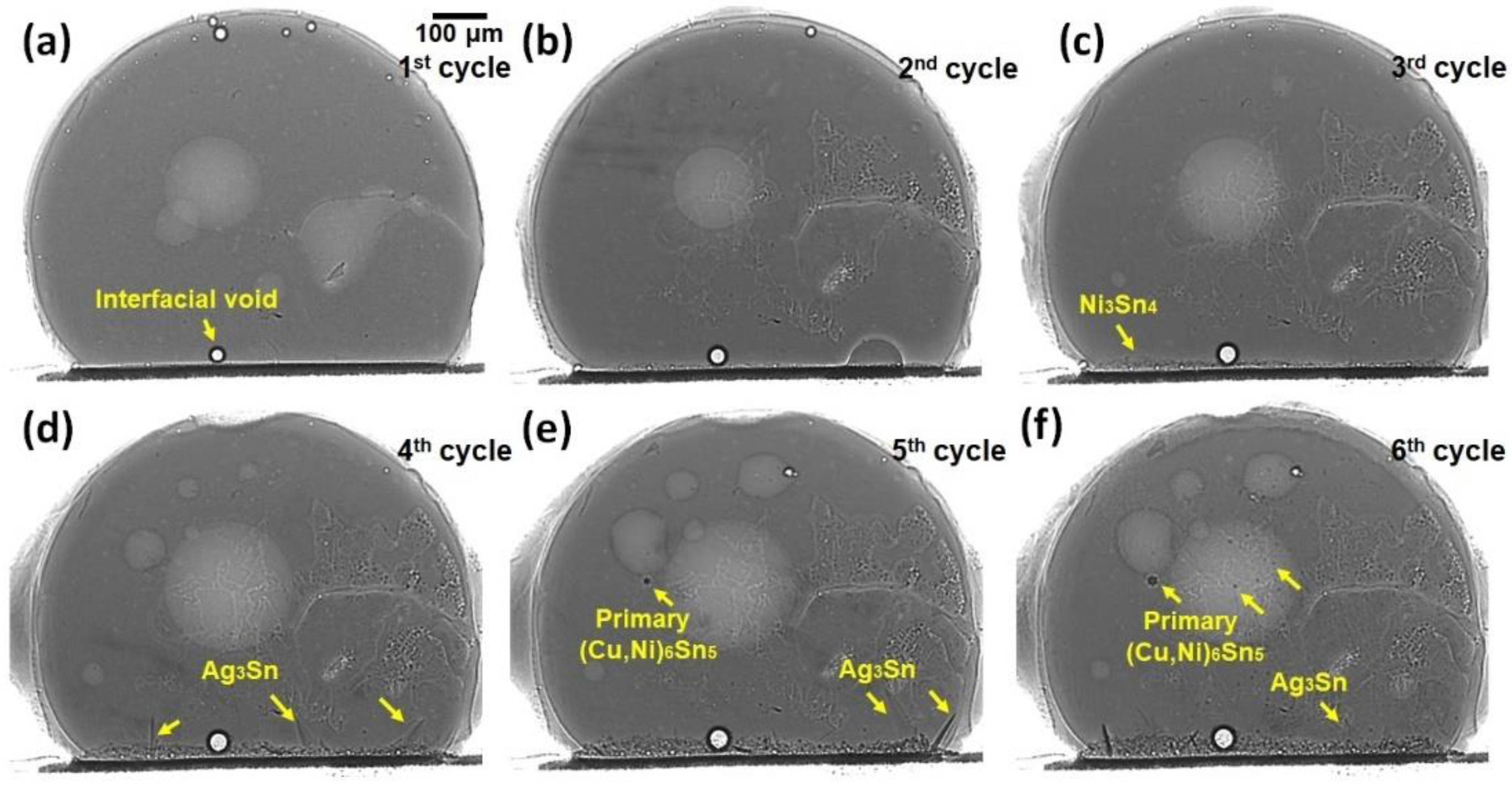 Materials 16 04360 g006